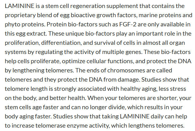Laminine 22 amino acids Trace minerals Fibroblast Growth Factor -2(FGF)EXP 2028