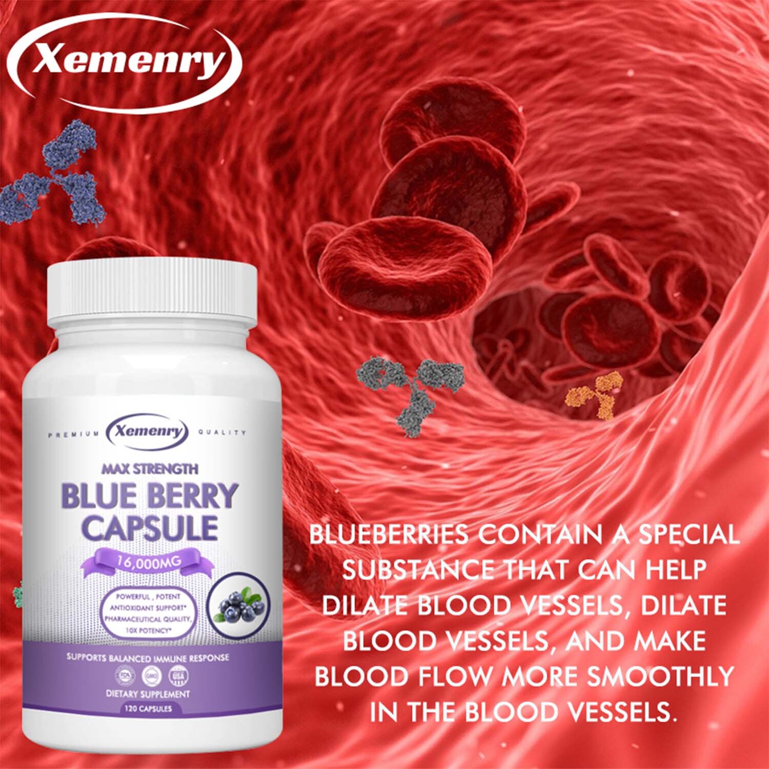 Blueberry Capsules 16000mg – High Strength Antioxidant, Promotes Ere Health