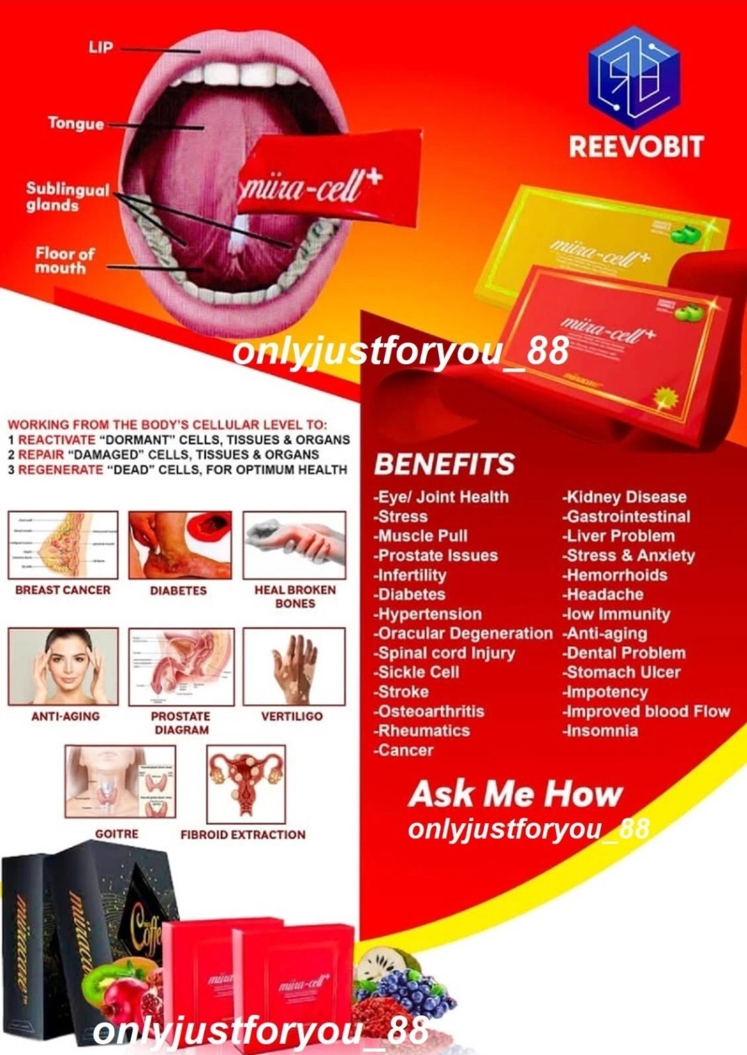 Miiracell plus By Revoobit International 24 sachets per box Fresh Stock 2027