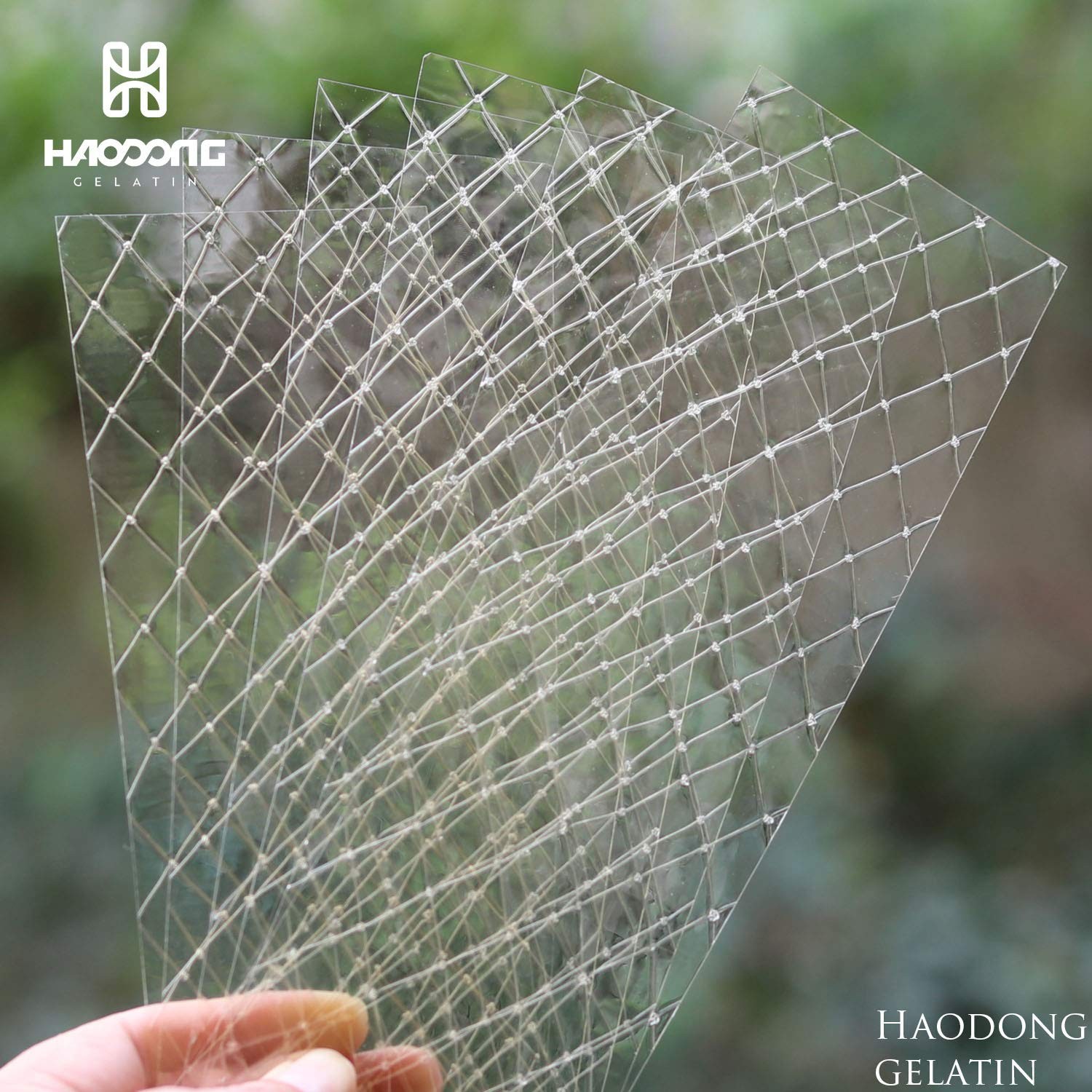 HAODONG Silver Gelatin Sheets – 180 Bloom 1 Count (Pack of 1), Transparent