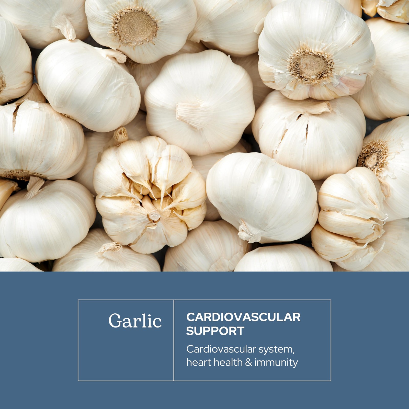 Eclectic Herb – Garlic Capsules | Cardiovascular Heart Health and Immune Supp…