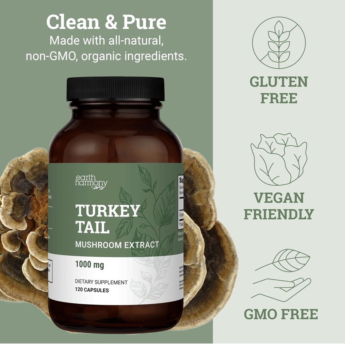 Turkey Tail Mushroom 120 Capsules Superfood Supports Brain Health Premium x4/26