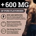 1 PACK – Black Forest High Flavanol Cocoa Powder Flavonoids Supplement 1200 mg