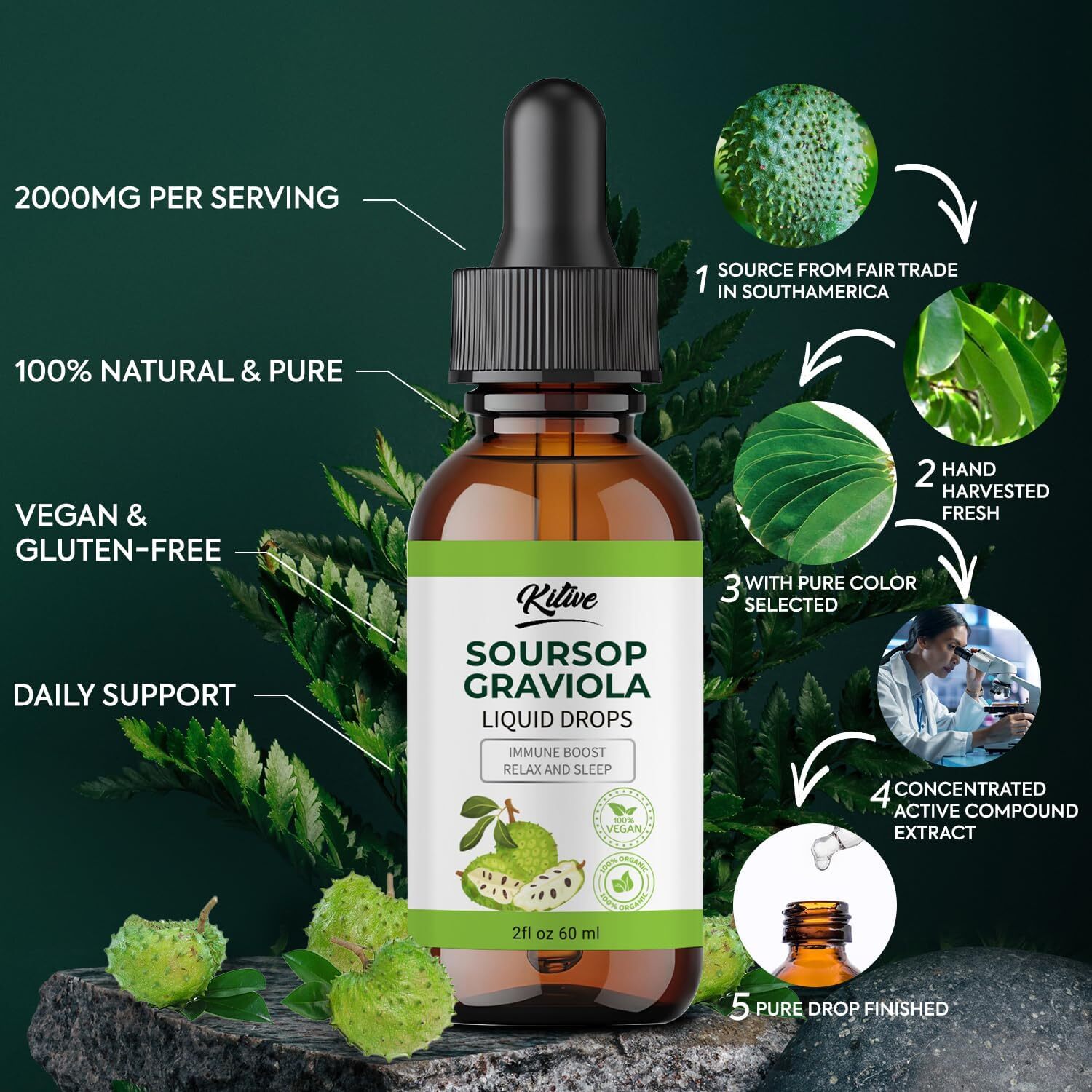 Soursop Graviola Liquid Drop, Nature & Pure Soursop Graviola Extract 2 Fl Oz