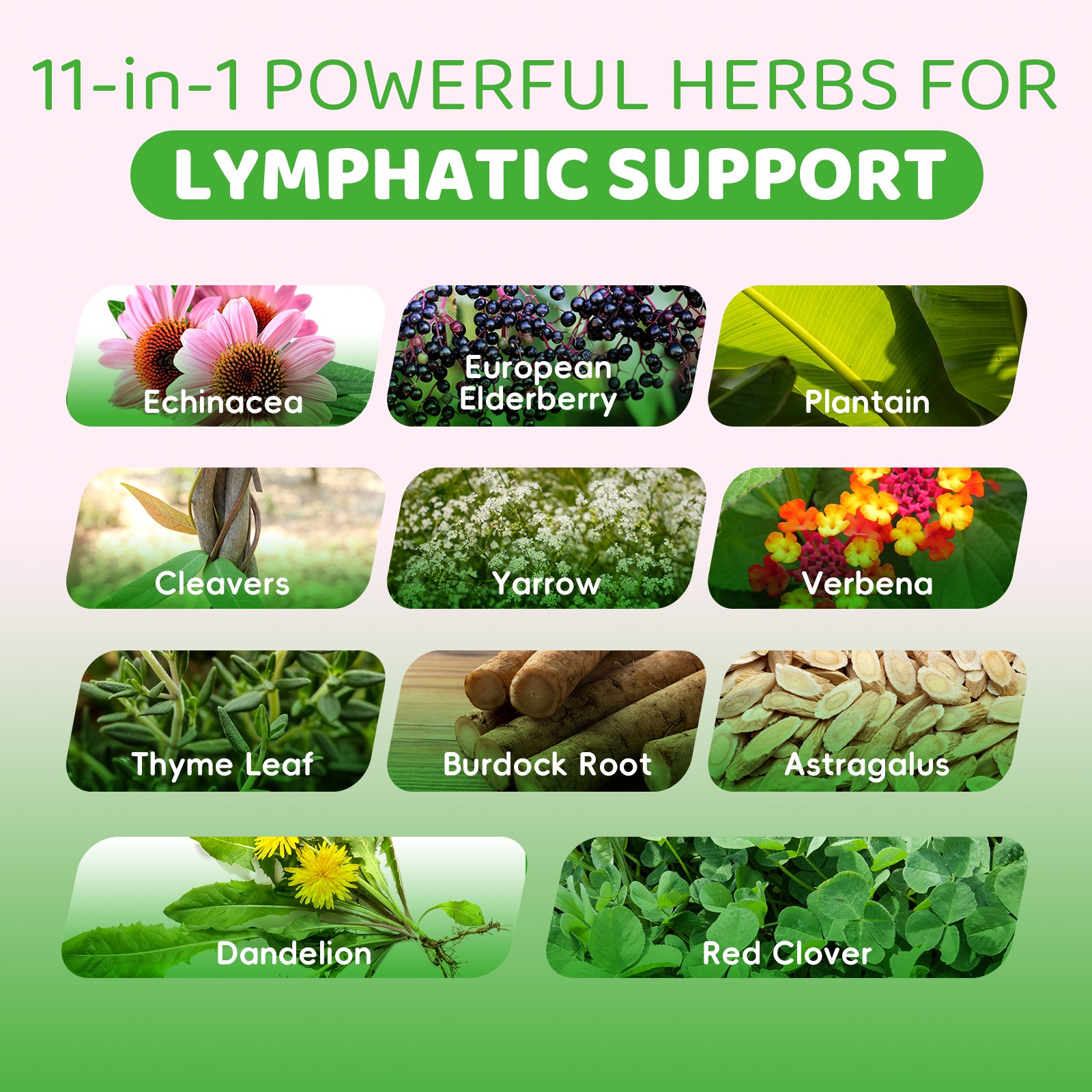 60ML Vegan 11-in-1 Lymphatic Drainage Supplements-Lymph System Support Non-GMO