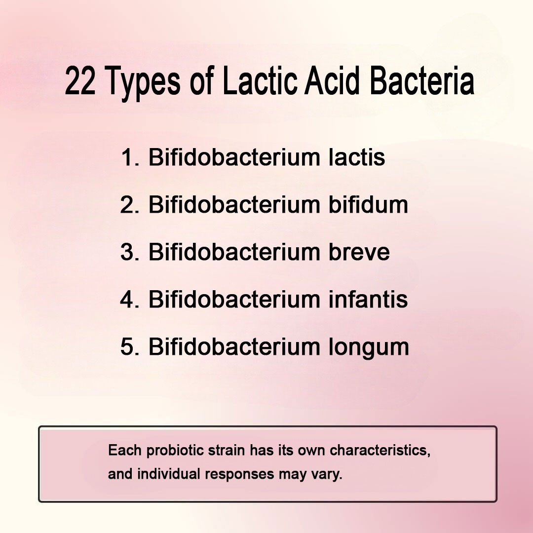 STC-22 Dietary Supplement with 22 Lactic Acid Bacteria 60 Units Made in Japan