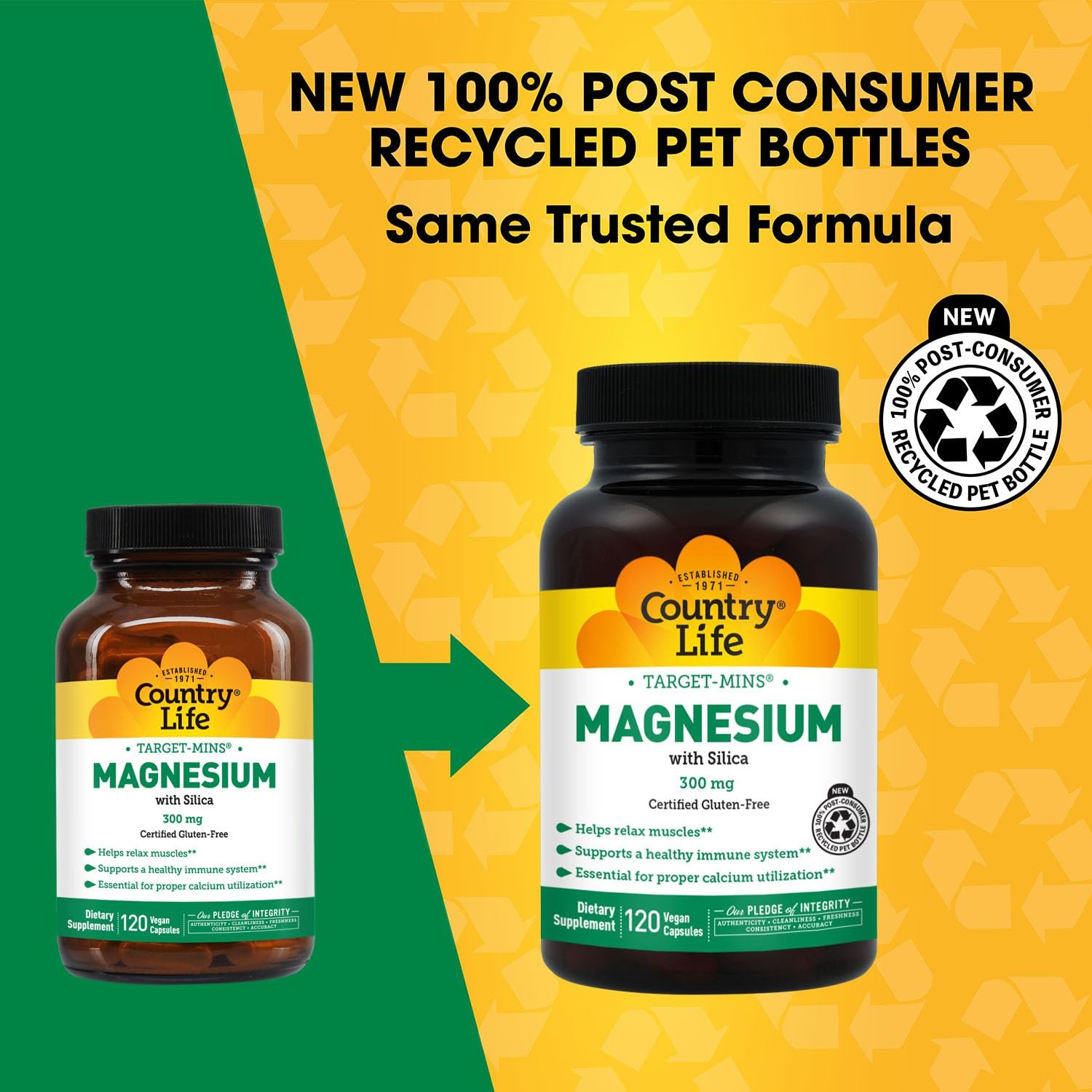 Target-Mins Magnesium with Silica 300 mg 120 Vegetarian 120 Count (Pack of 1)