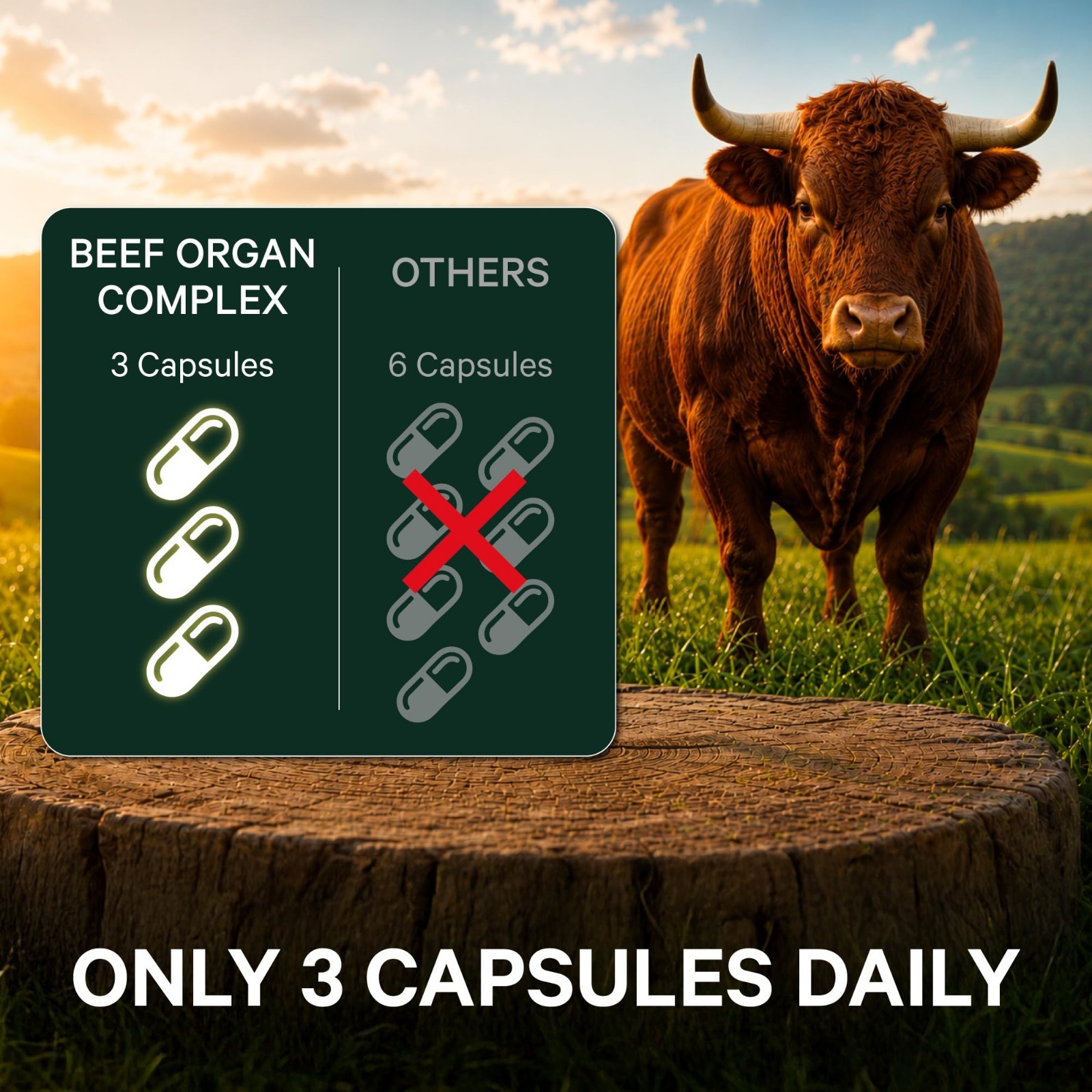 Men’s Beef Organ Complex Supplement – Bioavailable Superfoods, 90 Count | Grass-
