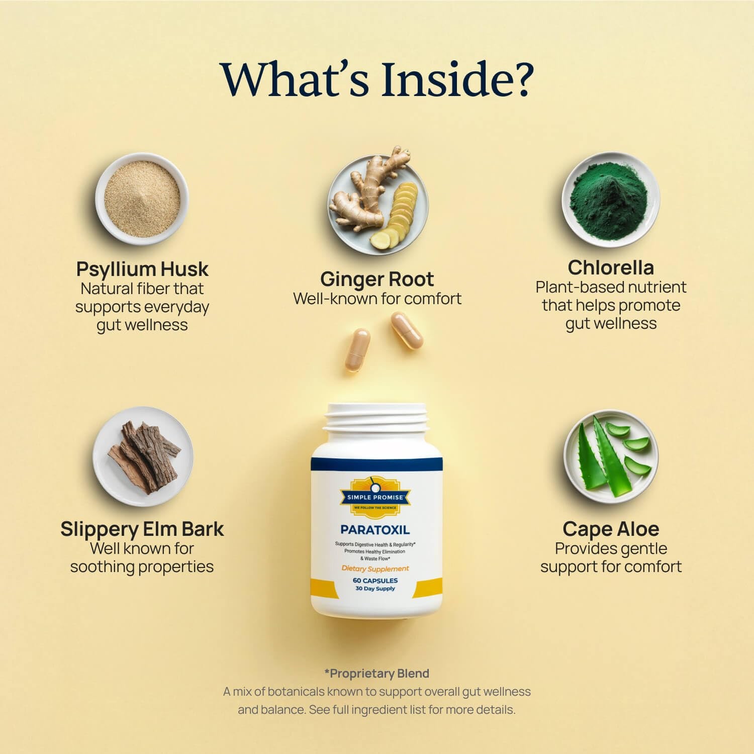 Paratoxil – Daily Gut Cleanse with Psyllium Husk Fiber & Black Walnut for Hum…