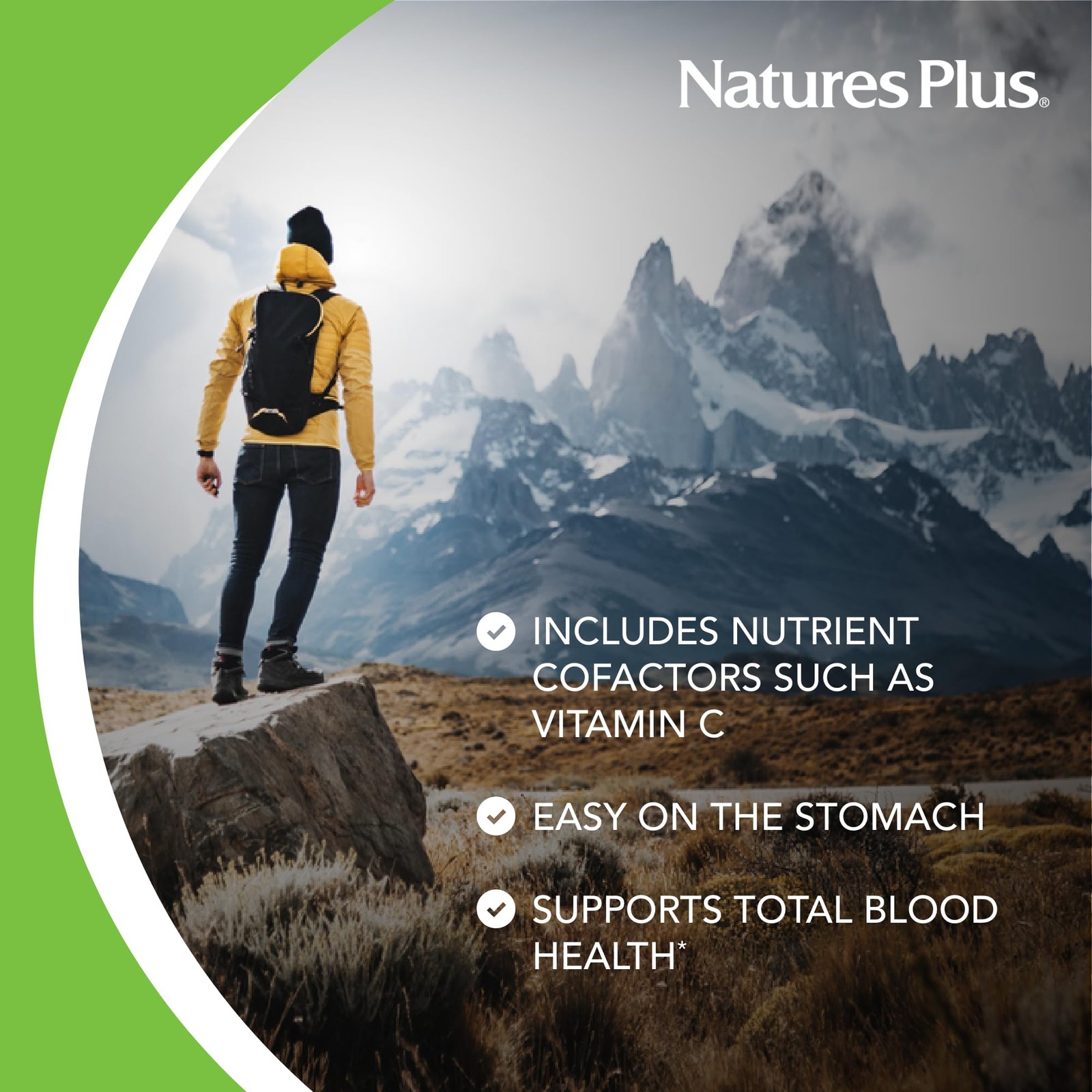 NaturesPlus Hema-Plex Iron – 60 Fast-Acting Capsules – 60 Count (Pack of 1)
