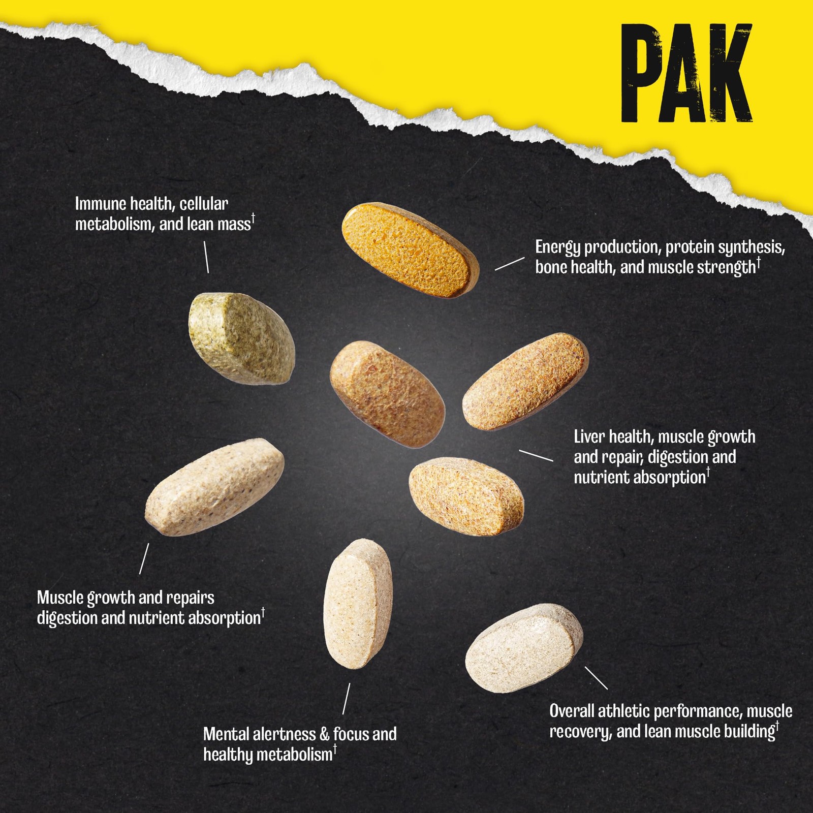 Animal Pak – Convenient Multivitamin for Men & 44 Count (Pack of 1), Tablets