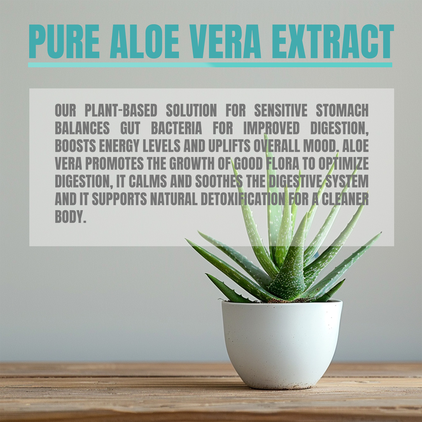 Aloe Vera Extract – with Acemannan – Weight Loss, Detox and Digestion Support