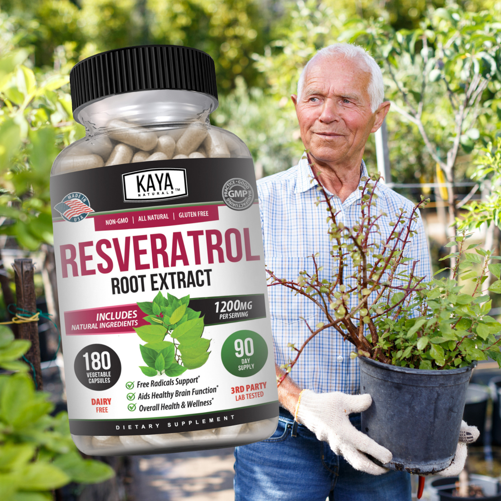 Resveratrol Capsules 180ct Anti-Aging Antioxidants Brain Support Radiant Skin
