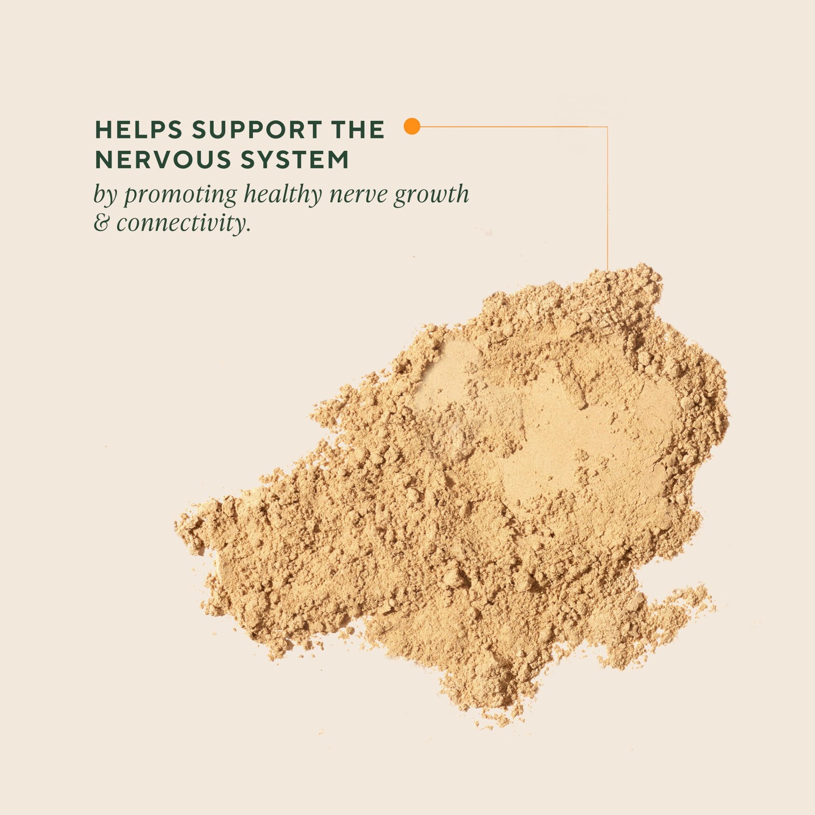 8/27 Om Lion’s Mane Mushroom Powder – Organic Mushroom Supplement and Nootropic