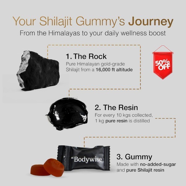 Be Bodywise Pure Himalayan Shilajit Gummies Gold I Lab Tested I No Added Sugar