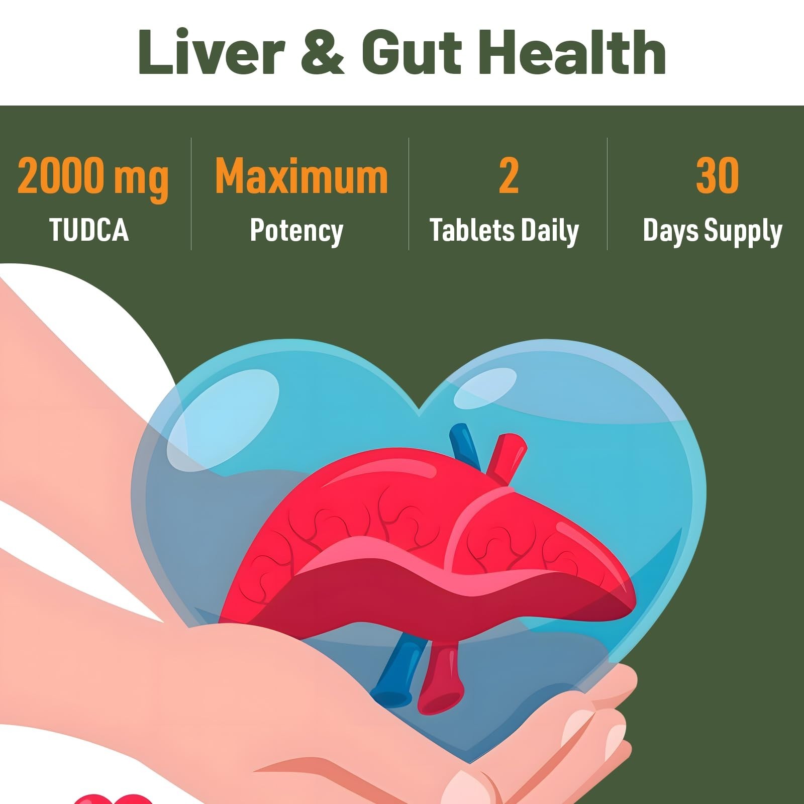 Liver Detox Supplements 2000mg – Vegan Bile Salts for Liver & Gallbladder Health