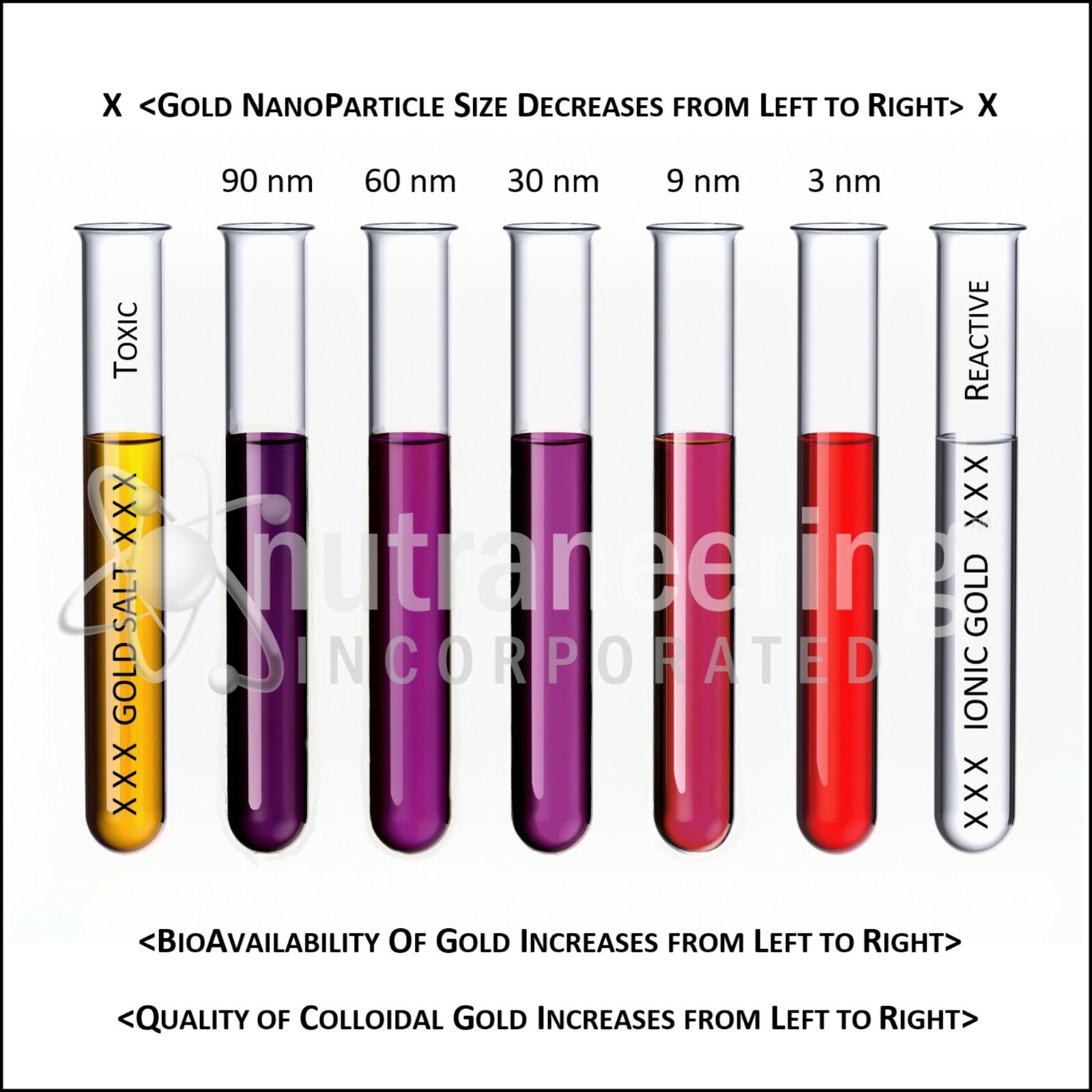 MediGOLD® Brain Booster True Colloidal Gold AuNP Nutrient: 500 mL in Plastic