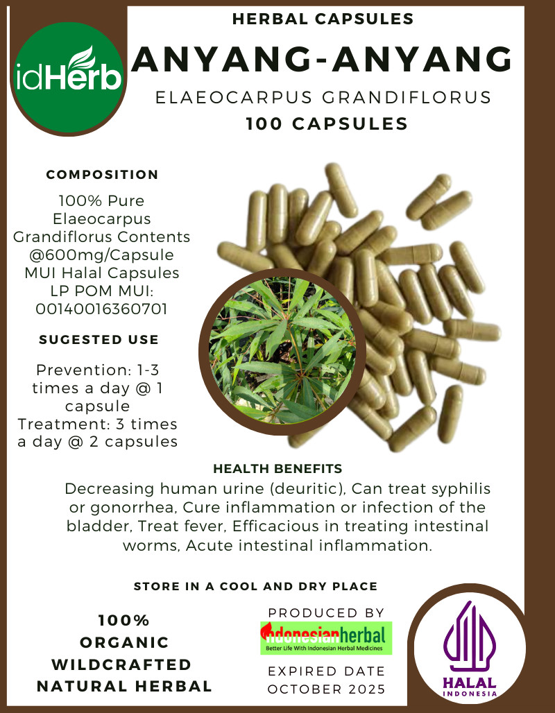 [idHerb] 100-800 Capsule ANYANG-ANYANG Elaeocarpus Grandiflorus WildCrafted