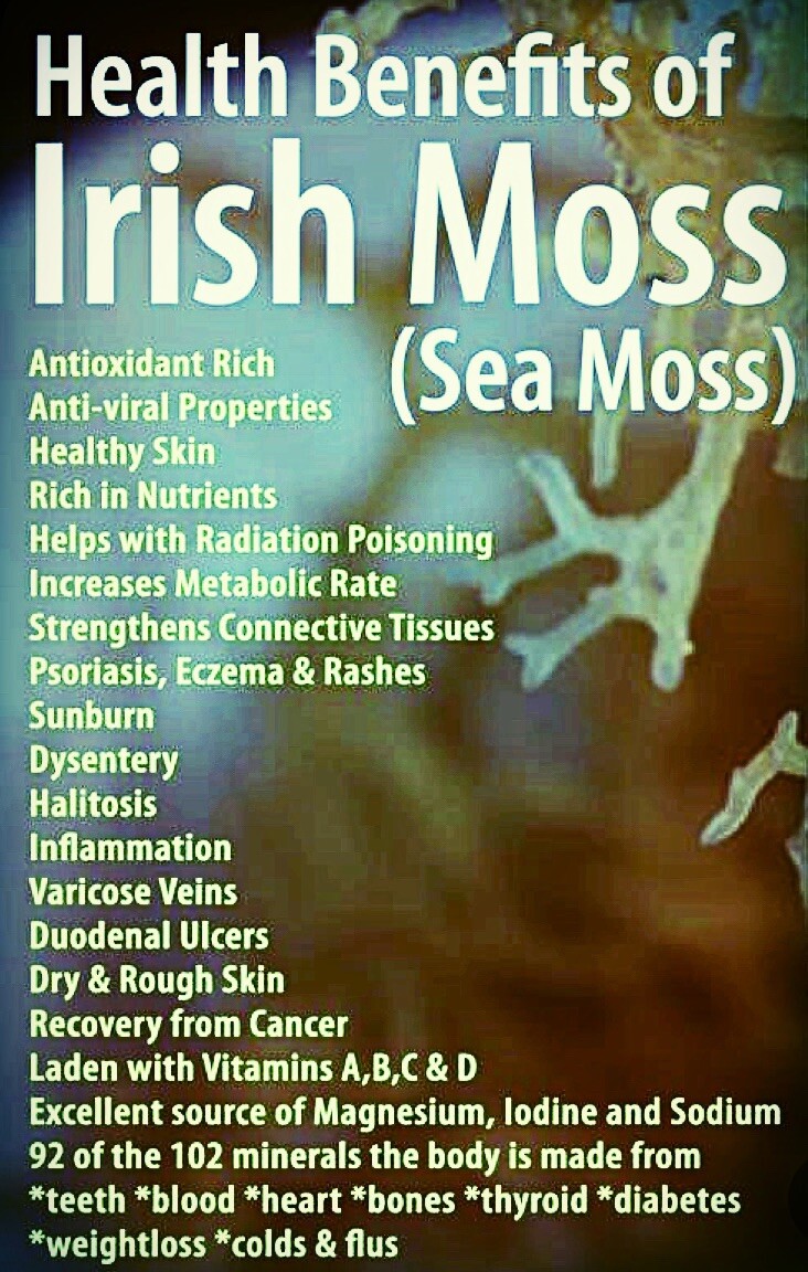 WILDCRAFTED Raw Purple. Jamaican Irish Sea Moss BULK Order 1Lb Resale Pack
