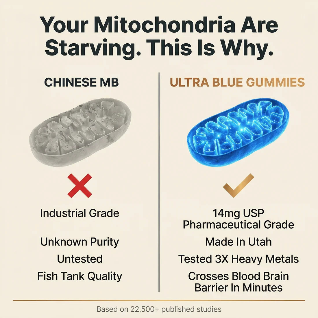 Blissta® Ultra Blue Gummies –Servings Keep Your Mind Sharp