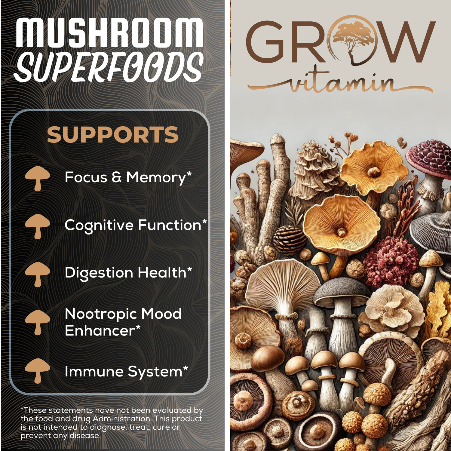 Organic Lion’s Mane Mushroom Supplement (13000 mg) – MEMORY, FOCUS, STRESS AID