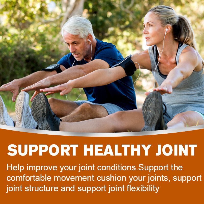 Glucosamine Chondroitin MSM Joint Support 120 Capsules – US