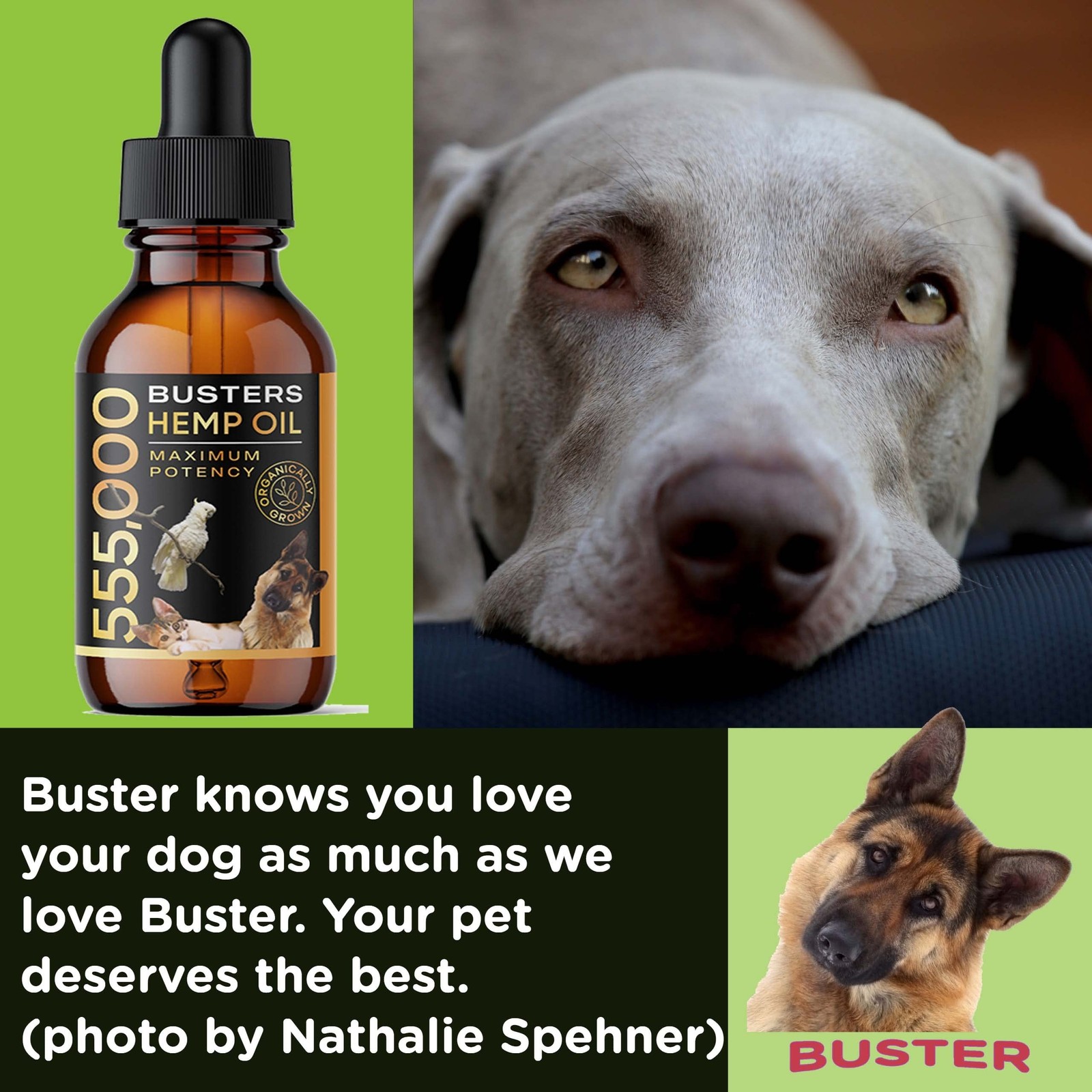 Buster’s Hemp Oil for Dogs & Cats, Calm, Joint, Coat, 3Pack 60ml | Cold-press…