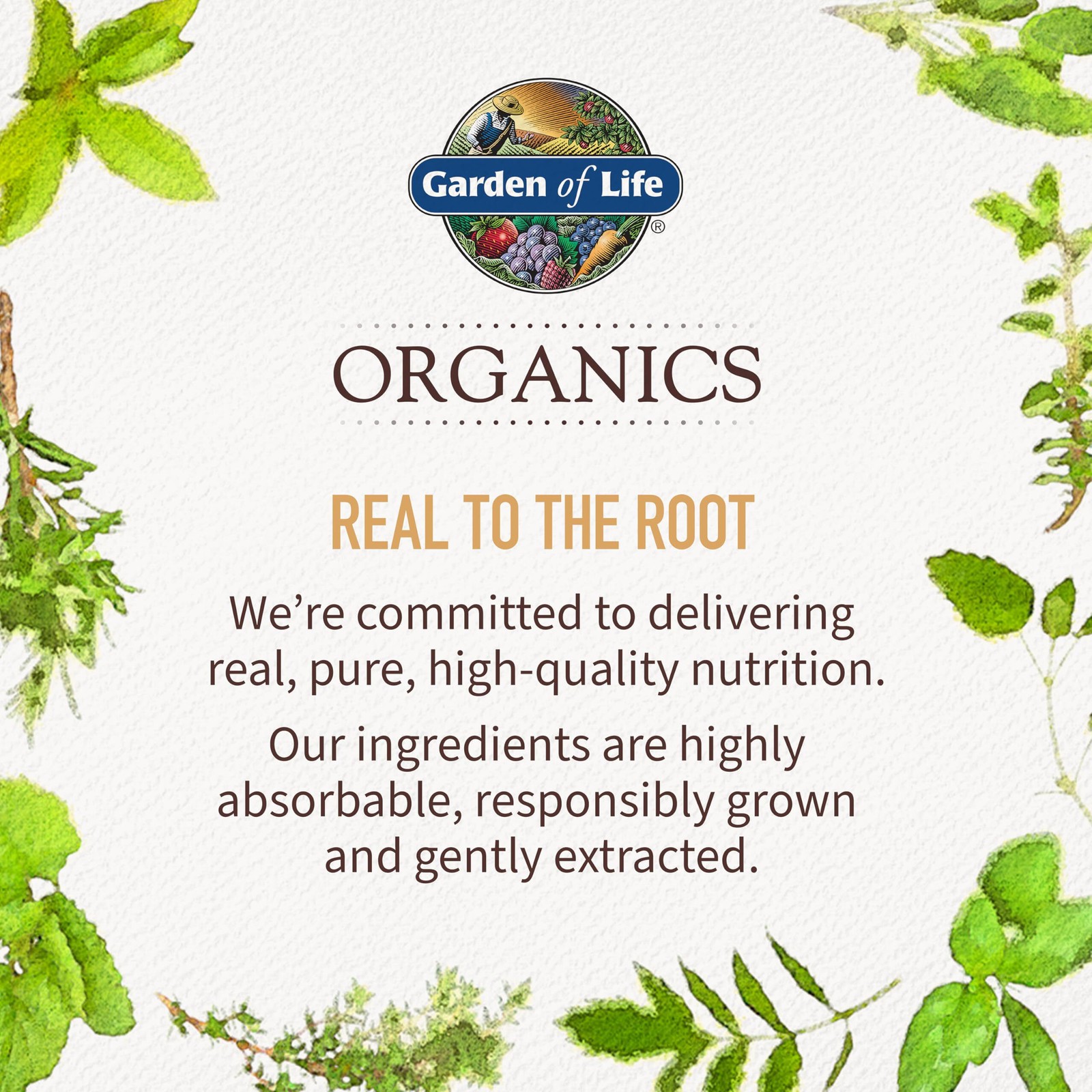 5/27 Garden of Life Organics Vegan Vitamin D3 Chewable – Raspberry Lemon, 2,000