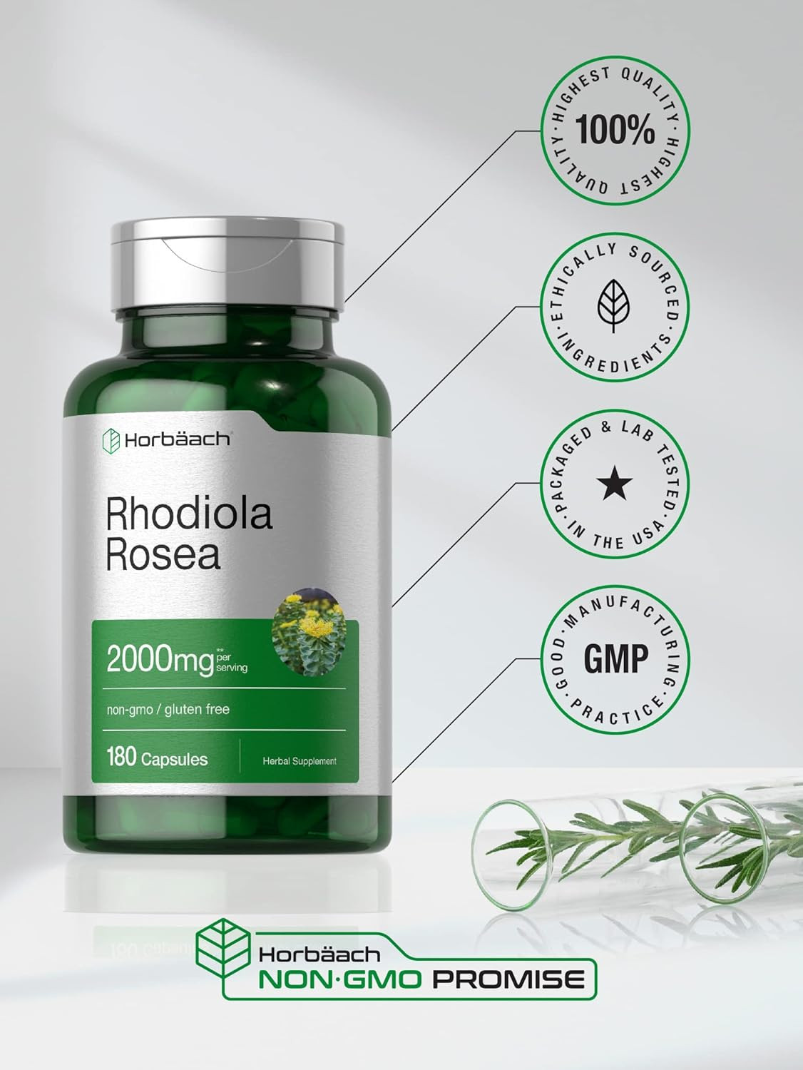 Horbäach Rhodiola Rosea Capsules | 180 Count | Non-GMO, Gluten Free Supplement