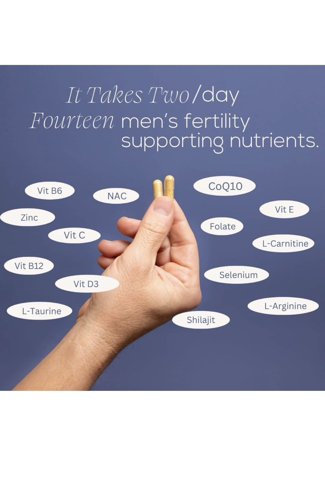 Men Prenatal Multivitamin Preconception Fertility Support, Enhanced Sperm Health