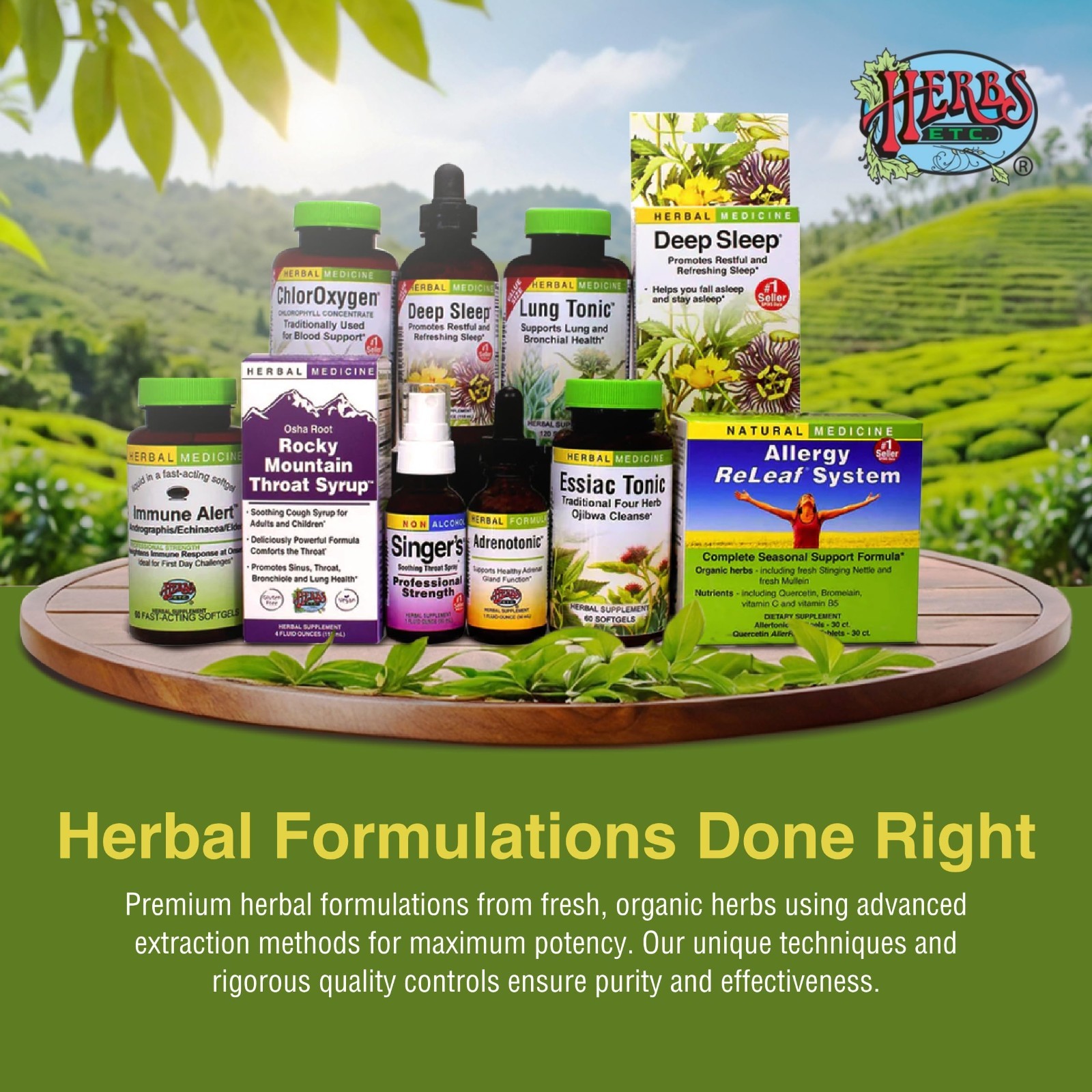 Chlorophyll Liquid Extract – Alcohol-Free Detox Drops for Skin, Gut & Energy Sup