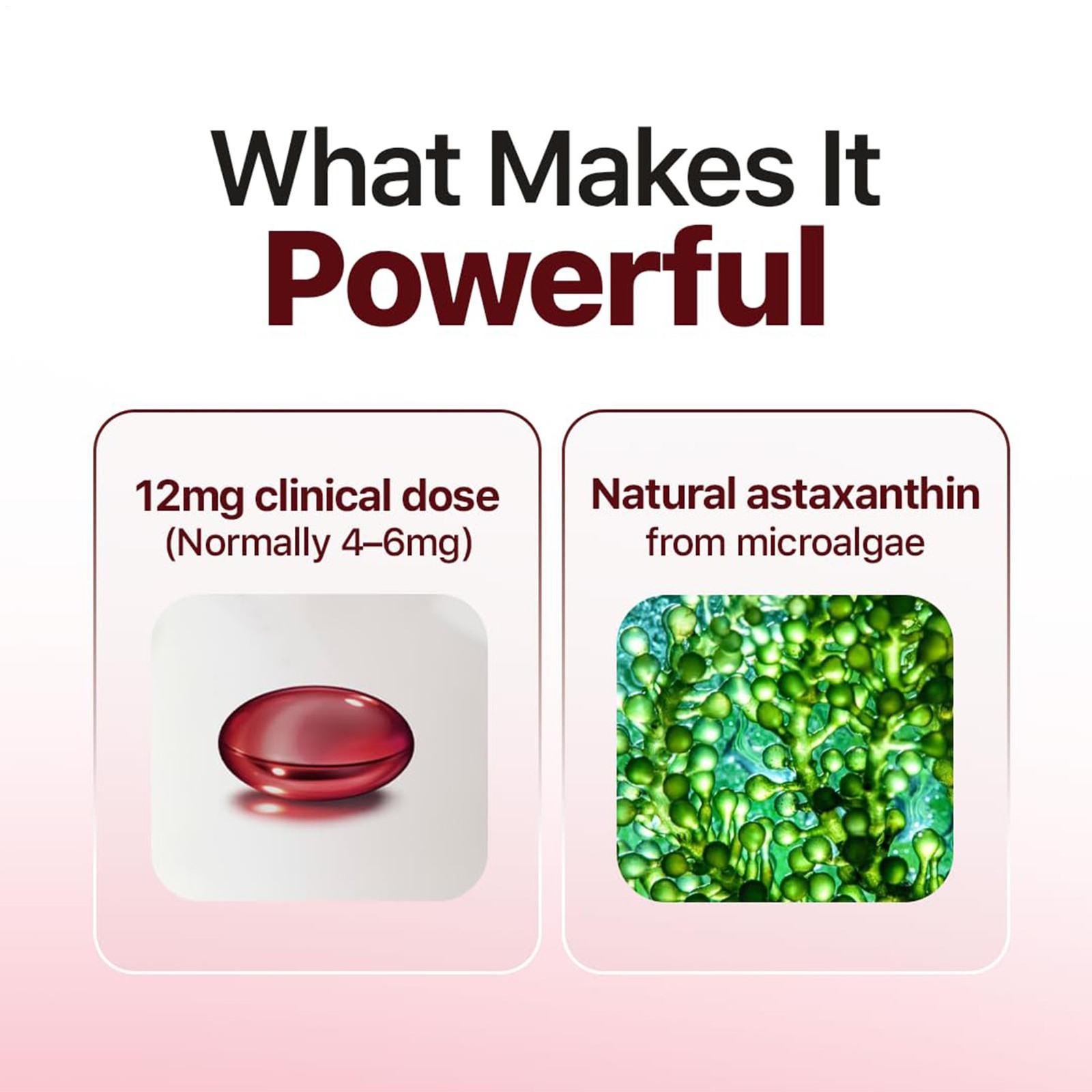 ROVINA Astaxanthin 12mg Softgels from Microalgae – Triple Strength Antioxidant S