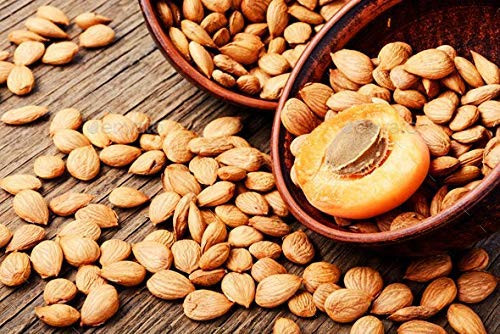 Bitter Apricot Kernels 1LB-100% USDA Certified Organic Bitter Apricot Seeds Free
