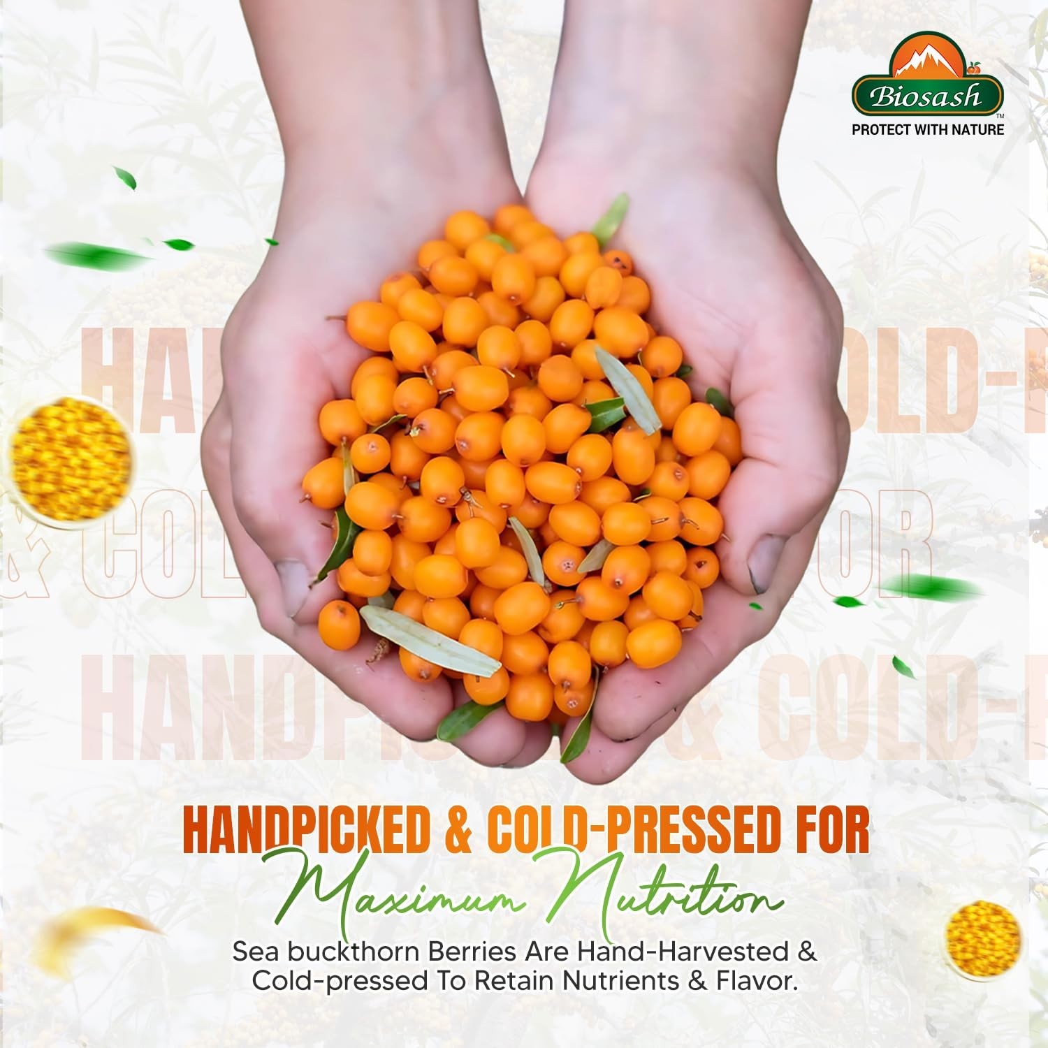 Biosash Himalayan Sea Buckthorn Pulp Concentrate 250ml free shipping