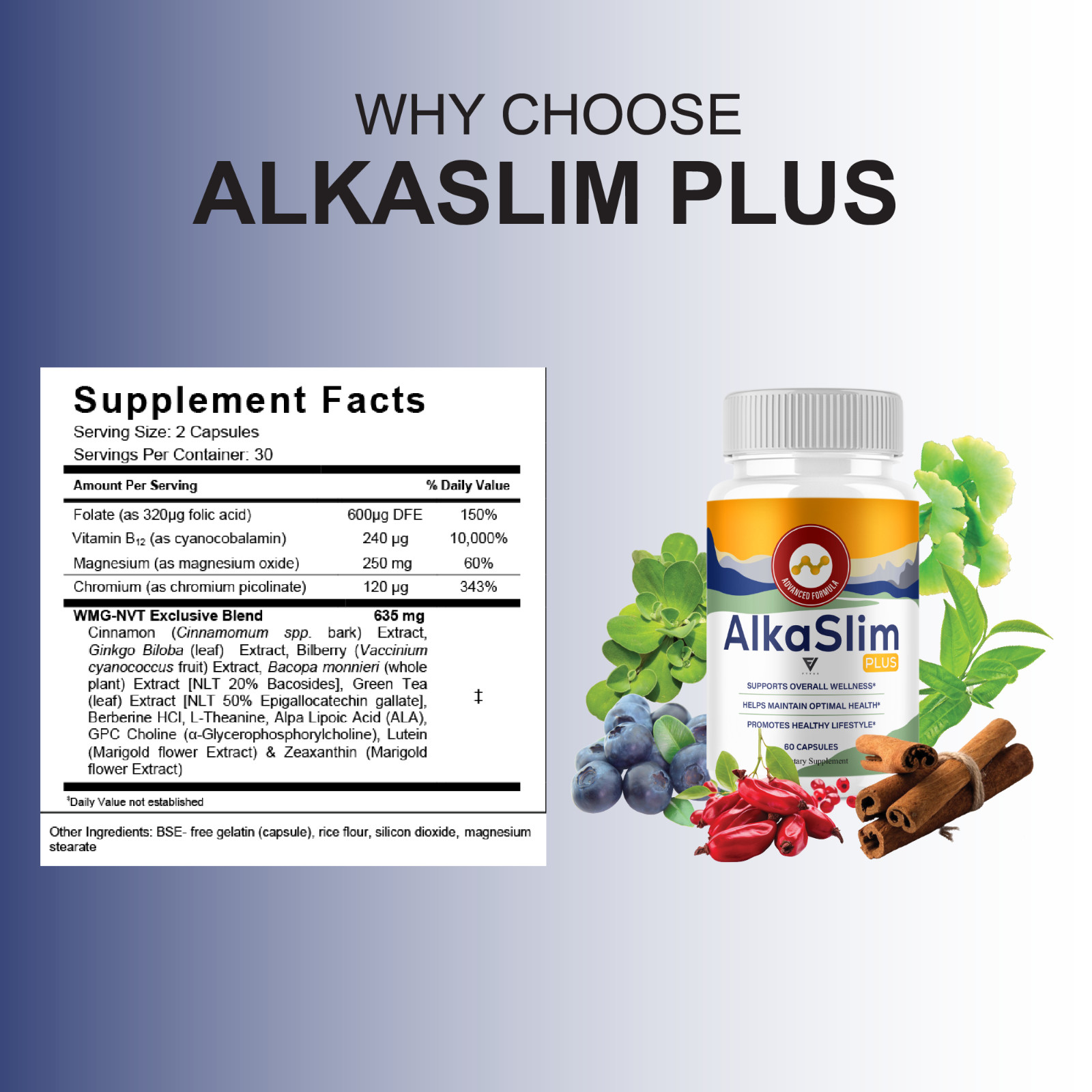 (5 Pack) AlkaSlim Plus Premium Daily Health Supplement (300 Capsules)