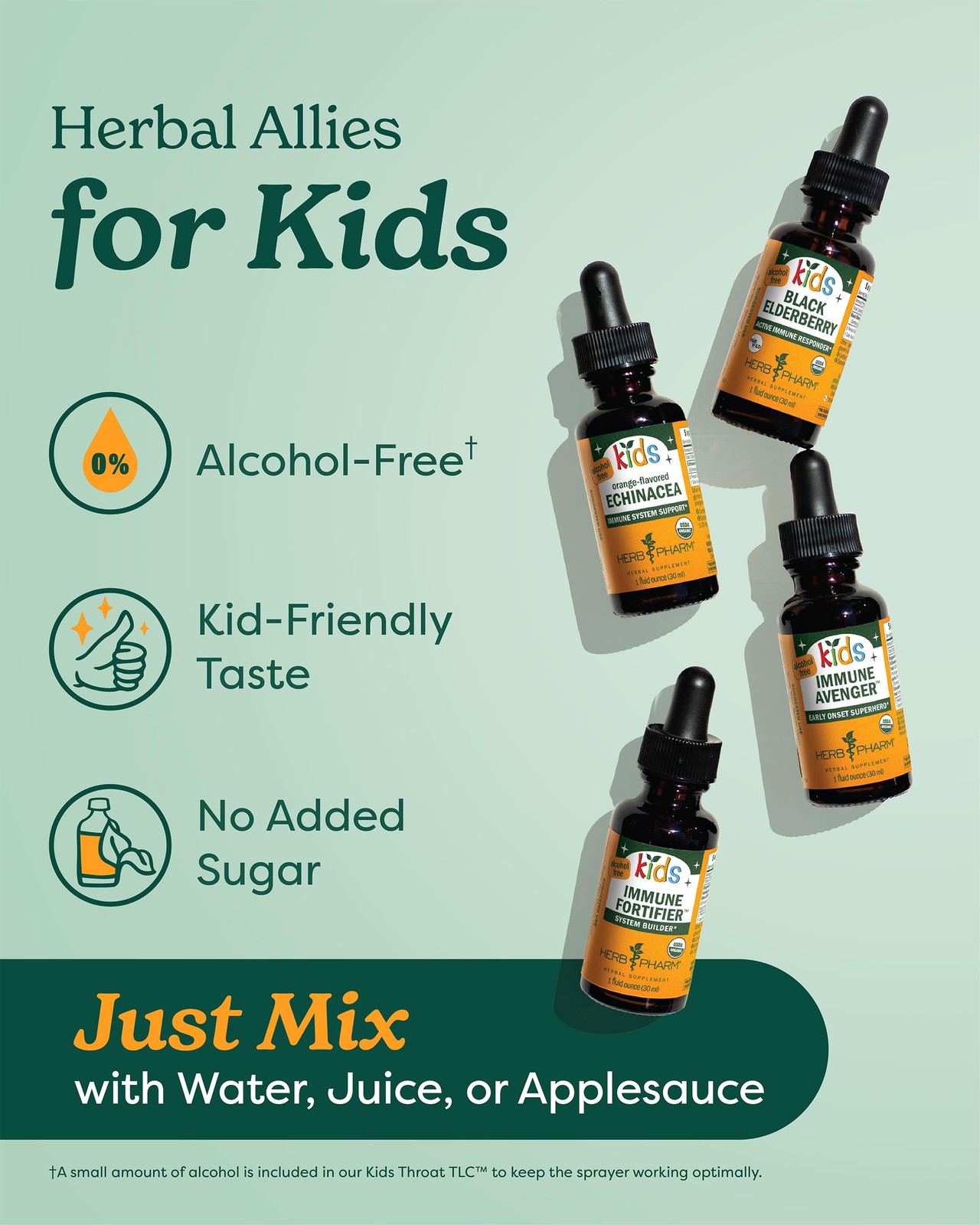 Herb Pharm Kids Echinacea Extract Alcohol-Free 1 Fl Oz (Pack of 1), No Color