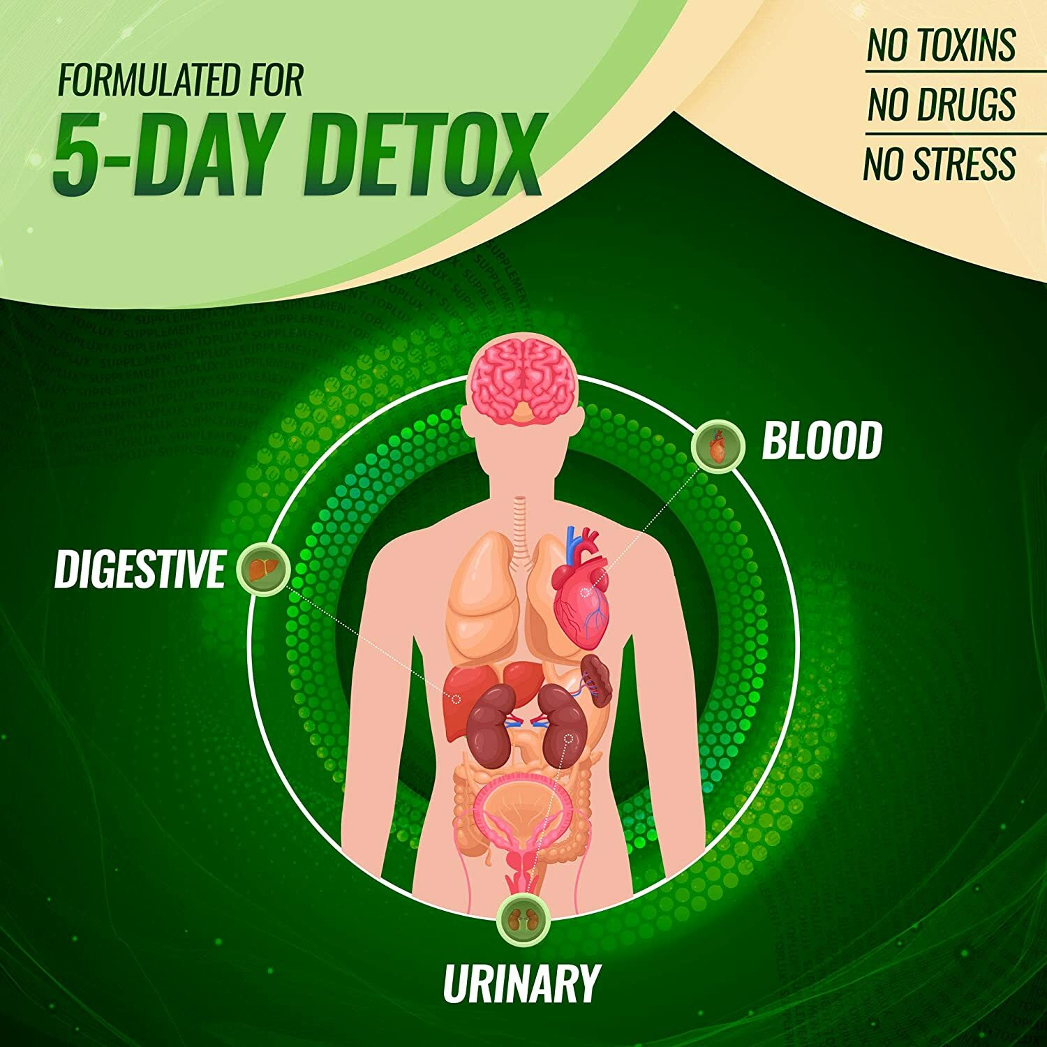 Premium Liver Cleanse Detox & Repair THREE BOTTLES Formula +22 Herbs Support