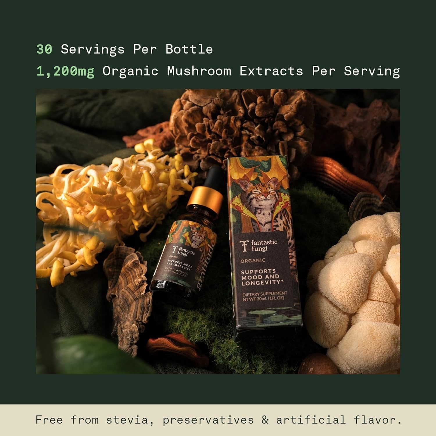 Fantastic Fungi Mushroom Extract – 8-in-1 Organic Complex Mushroom Supplement
