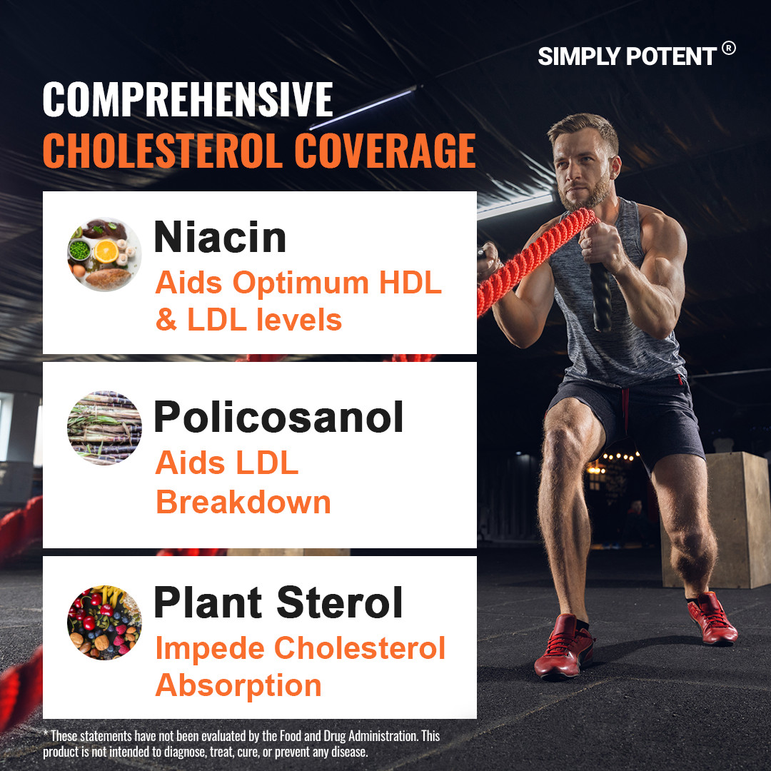Cholesterol Support Supplement – Heart Health & Lipid Control | 60 Capsules