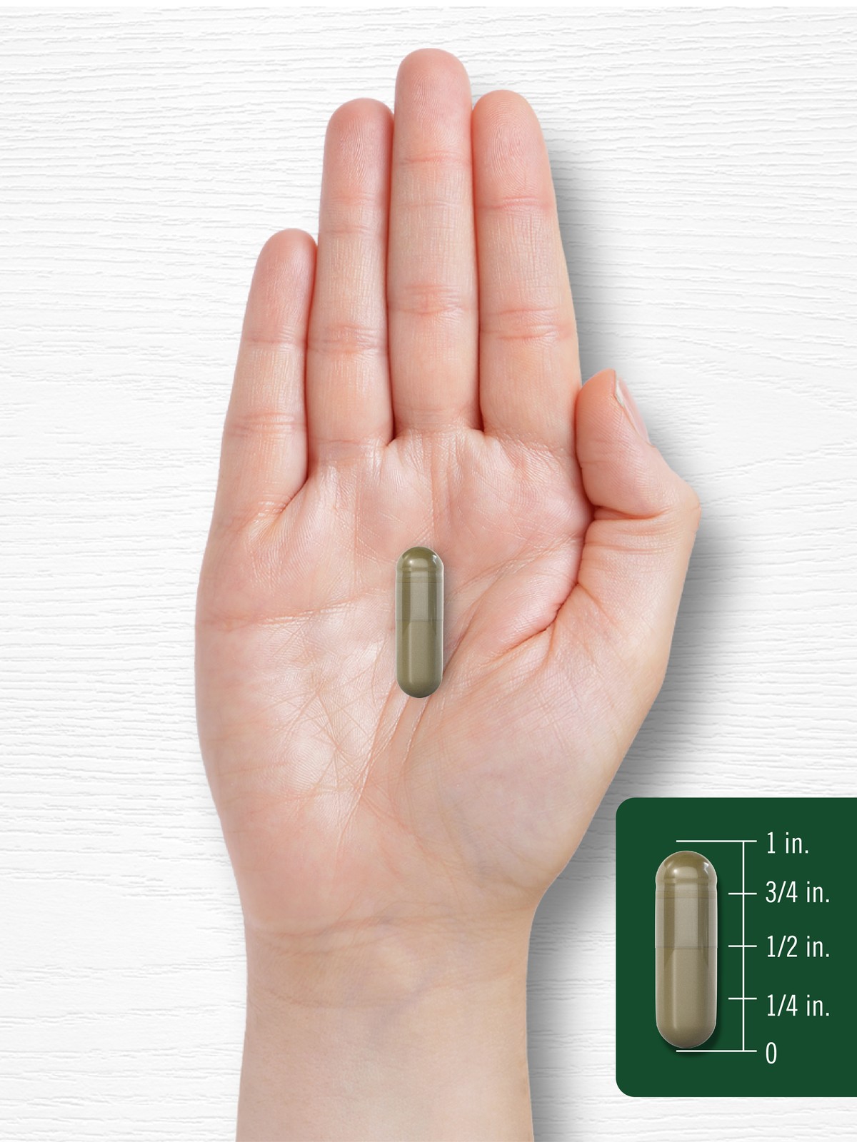 Fruits and Veggies | 250 Capsules | 32 Fruits and Vegetables | by Carlyle