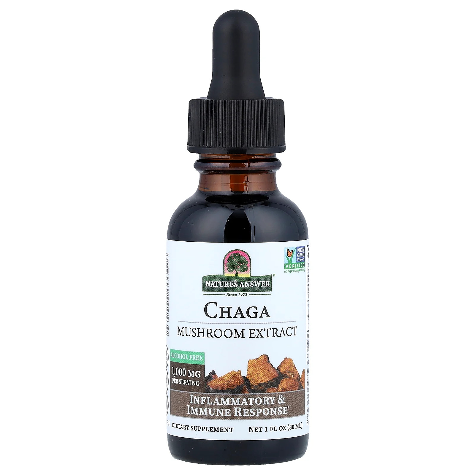 Chaga, Mushroom Extract, Alcohol Free, 1 fl oz (30 ml)