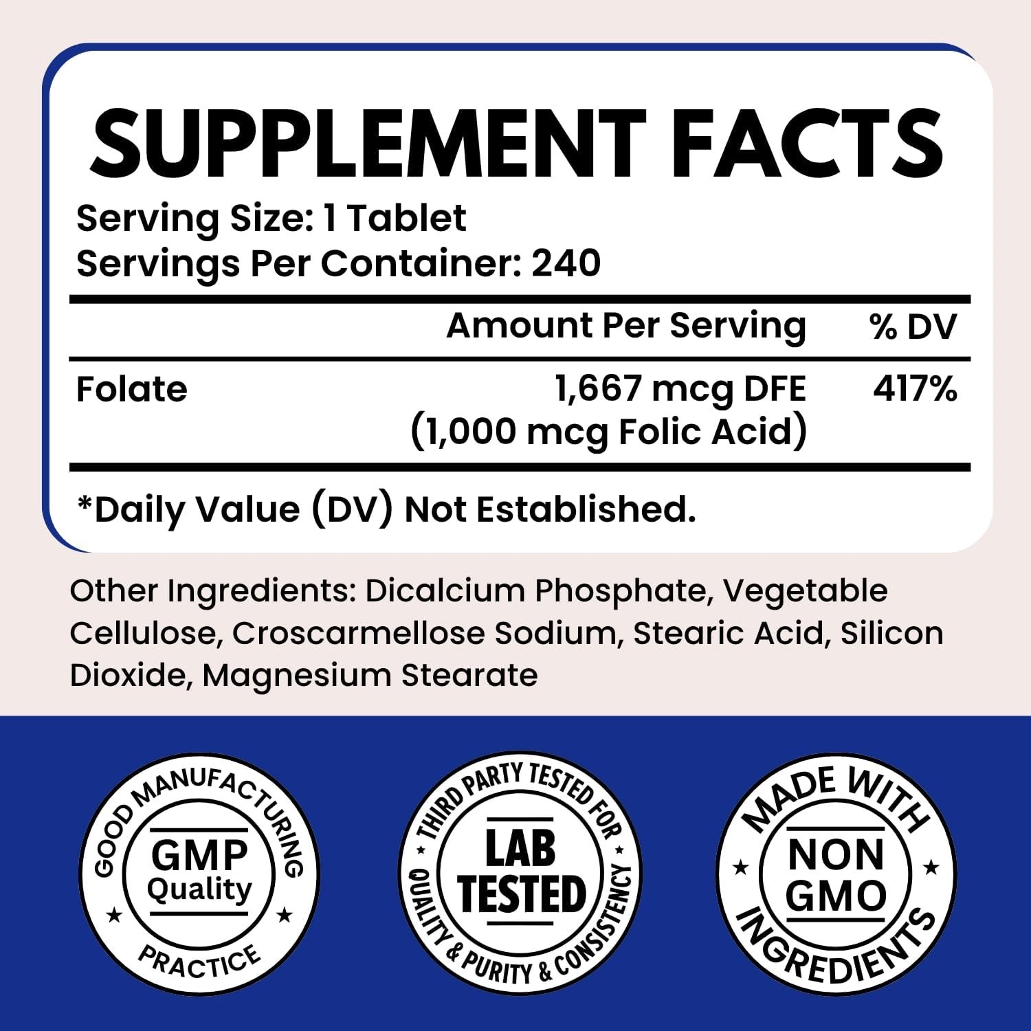 VITBOOST Folic Acid 1000 mcg (1667 mcg DFE) – 240 Tablets