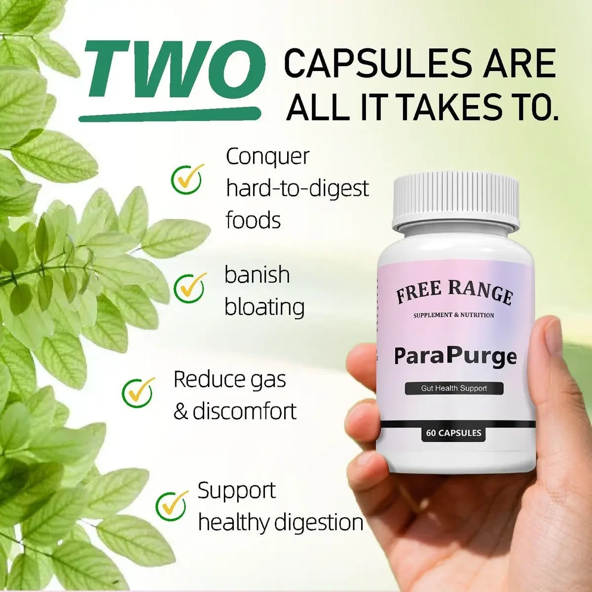 FreeRange ParaPurge Advanced Parasite Cleanser 60 Capsules 06/18/2027