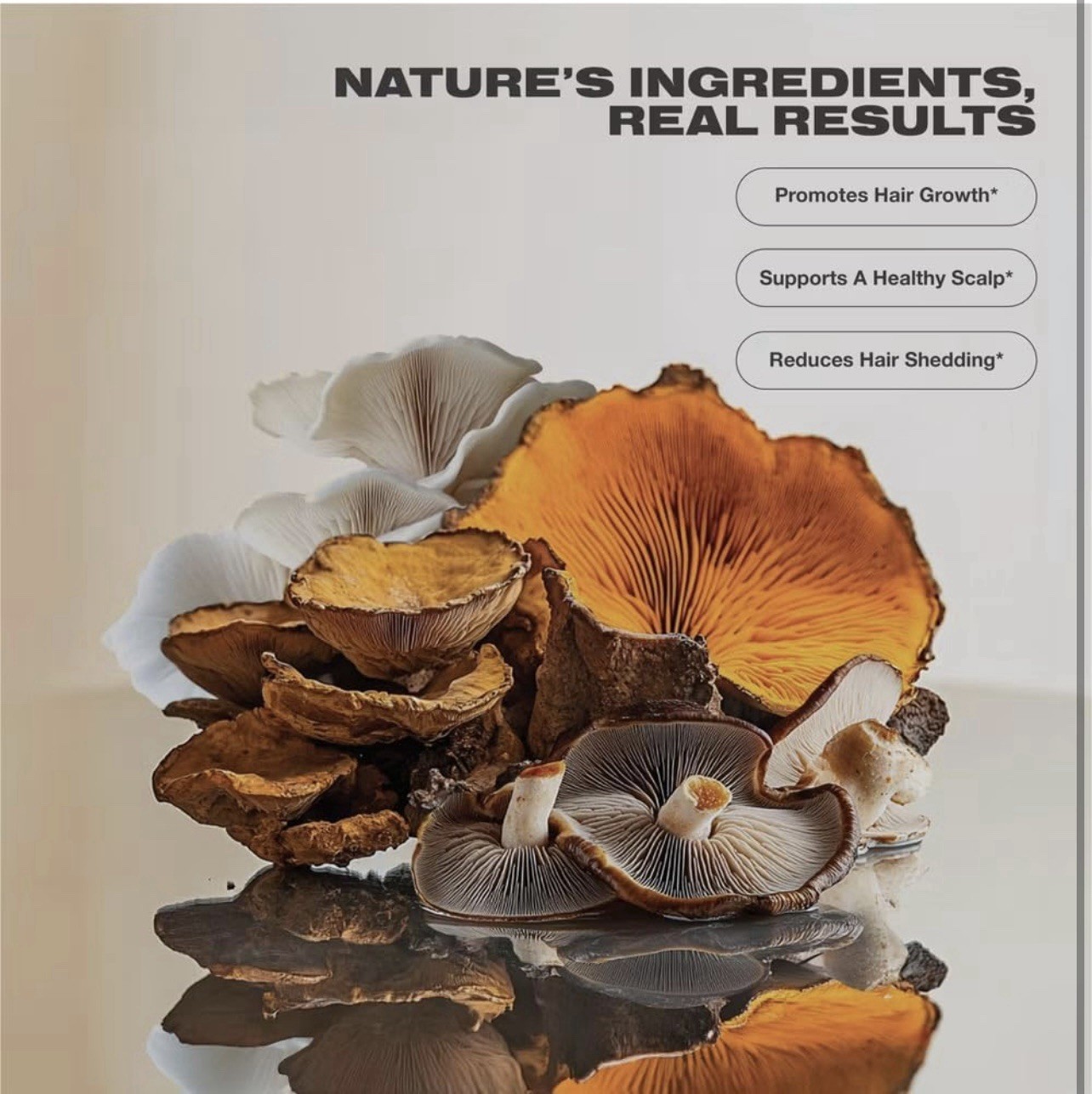 Nourish Hair Gummies Sugar Free Reishi Chaga Vegan 30 Count Imarais