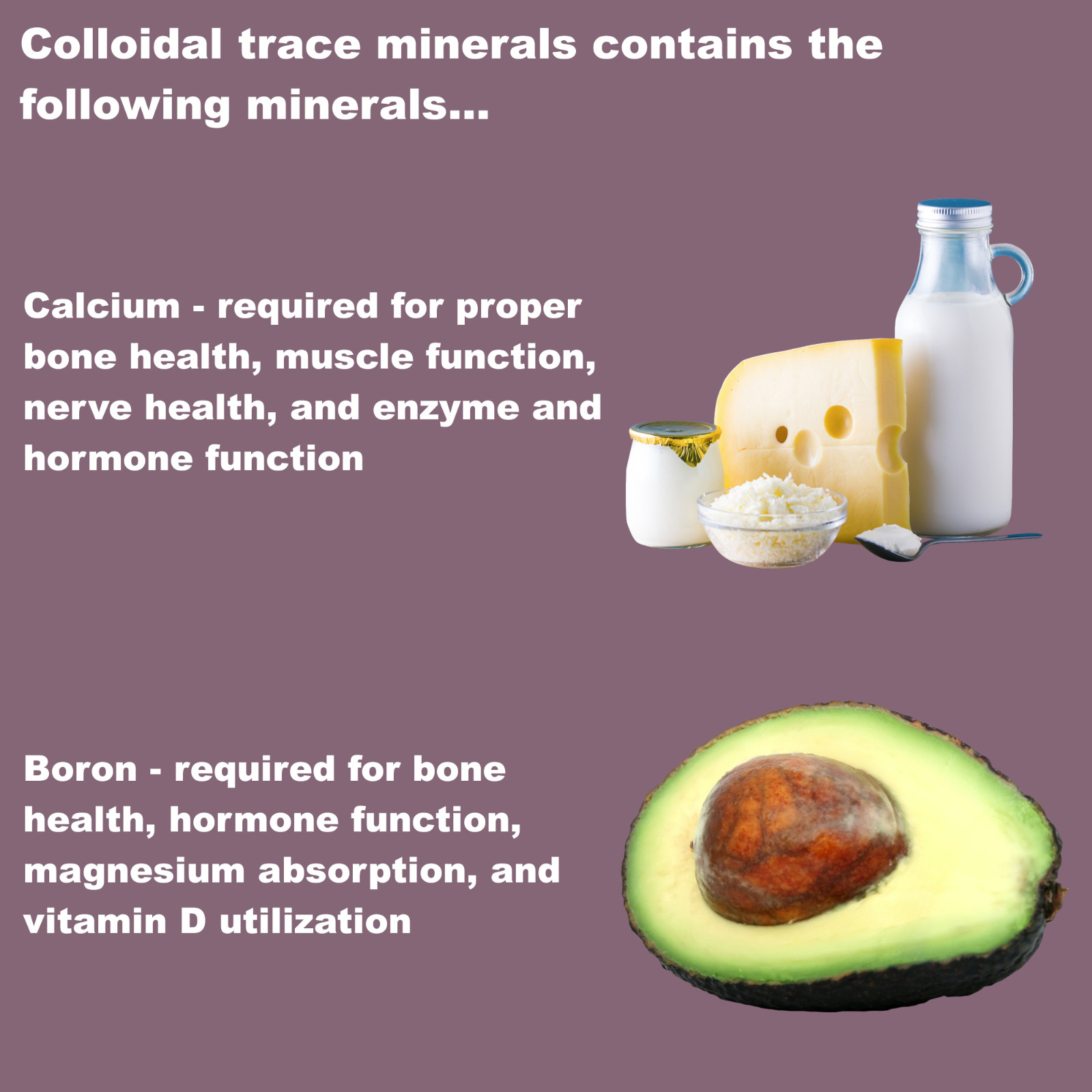 LifeLink Colloidal Trace Minerals | 100 capsules | Multi-Mineral Supplement