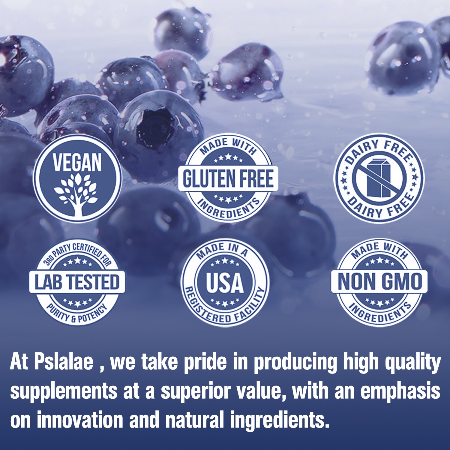 Wild Blueberry Extract Whole Fruit – Antioxidant, Anti-Aging, Brain & Eye Health