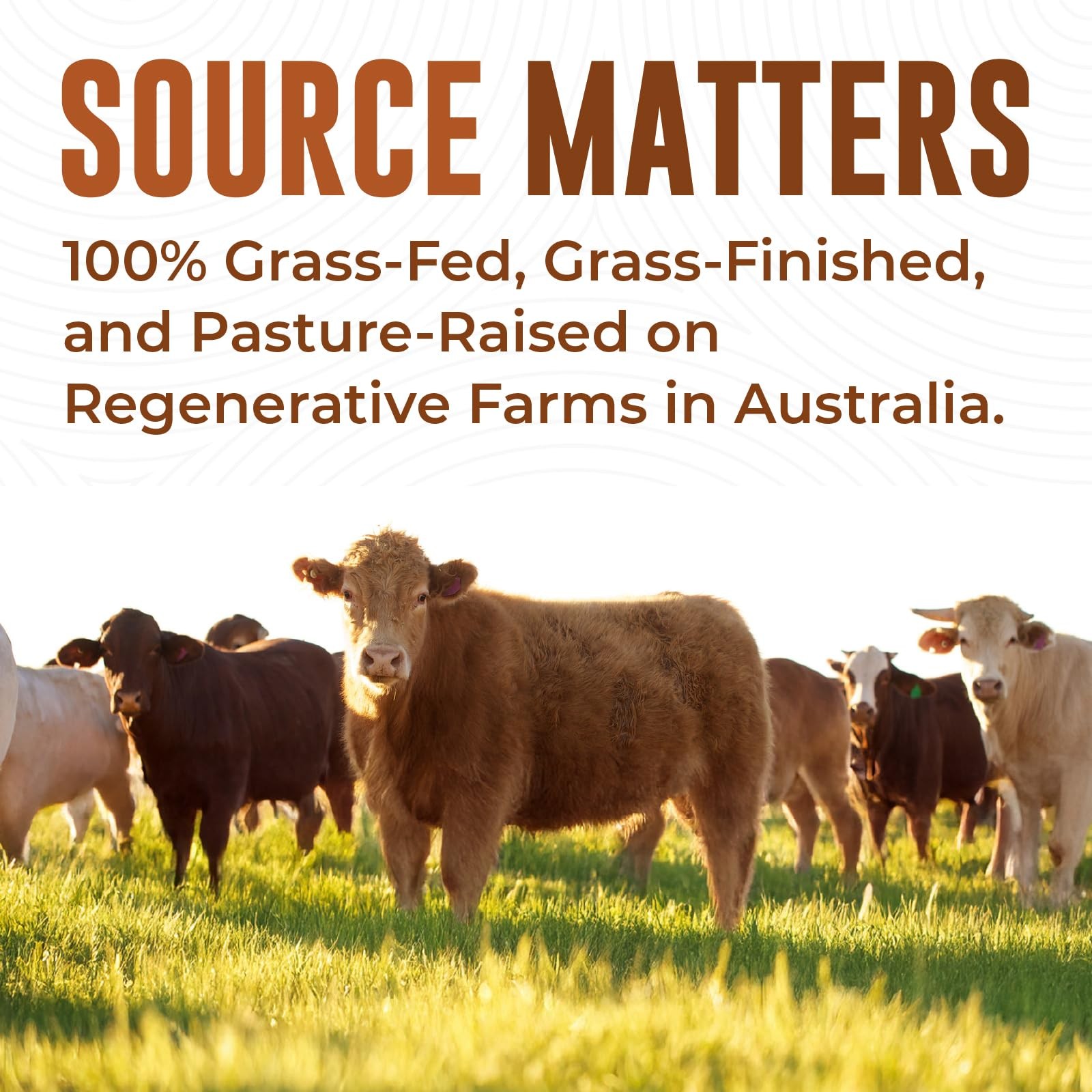 USDA Organic Beef Liver Capsules – Grass Fed Pasture Raised in Australia – N…