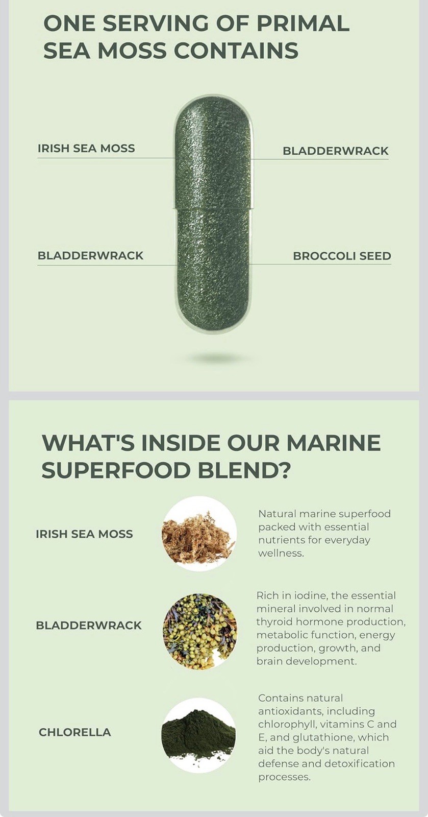 Primal Harvest Sea Moss Capsules w Bladderwack Irish Sea Moss, Chlorella 60 Ct.