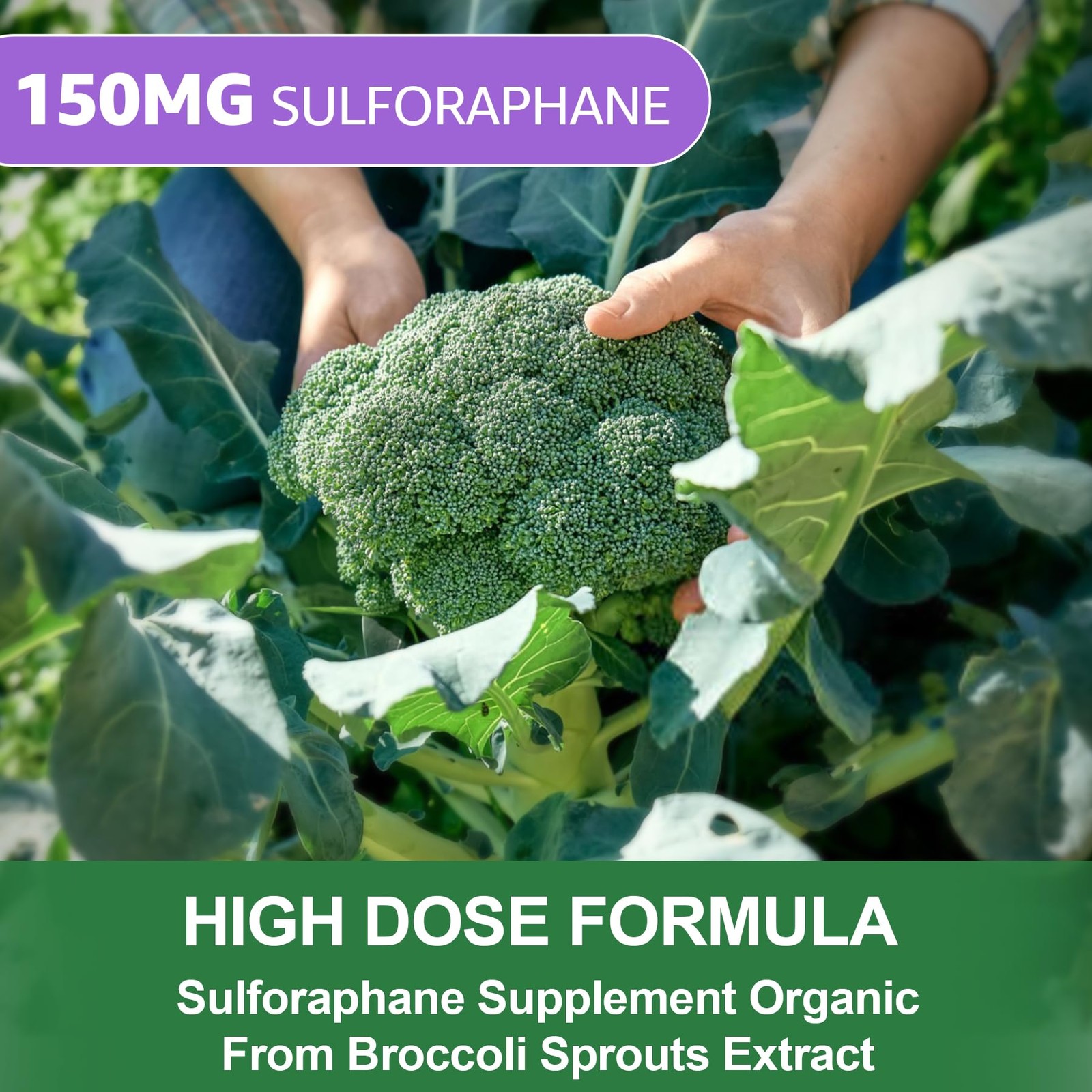 150mg Liposomal Sulforaphane Supplement from Broccoli Sprouts Extract Sulfor…