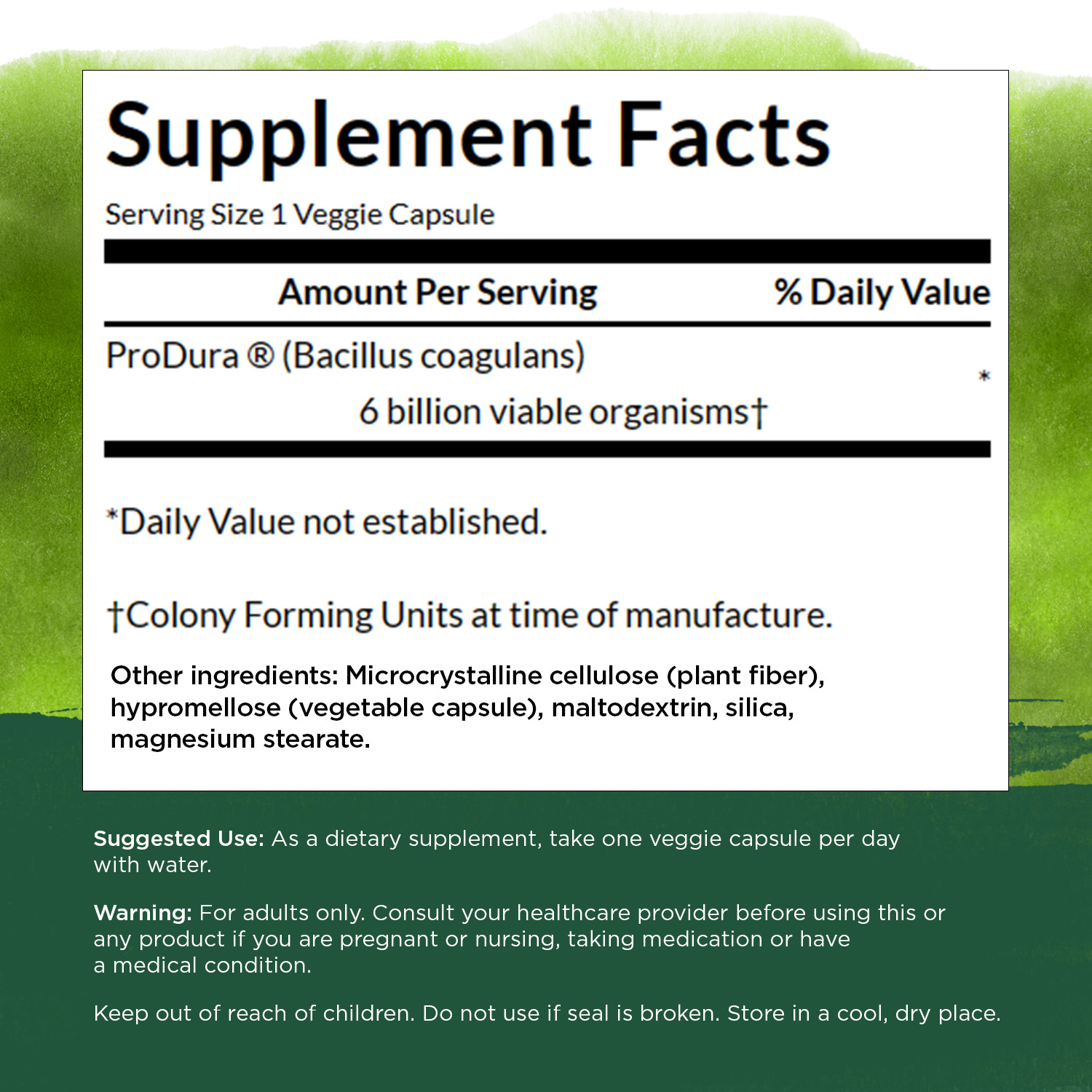Swanson Bacillus Coagulans – Natural Probiotic w/ 6 Billion CFU, 60 Veg Caps